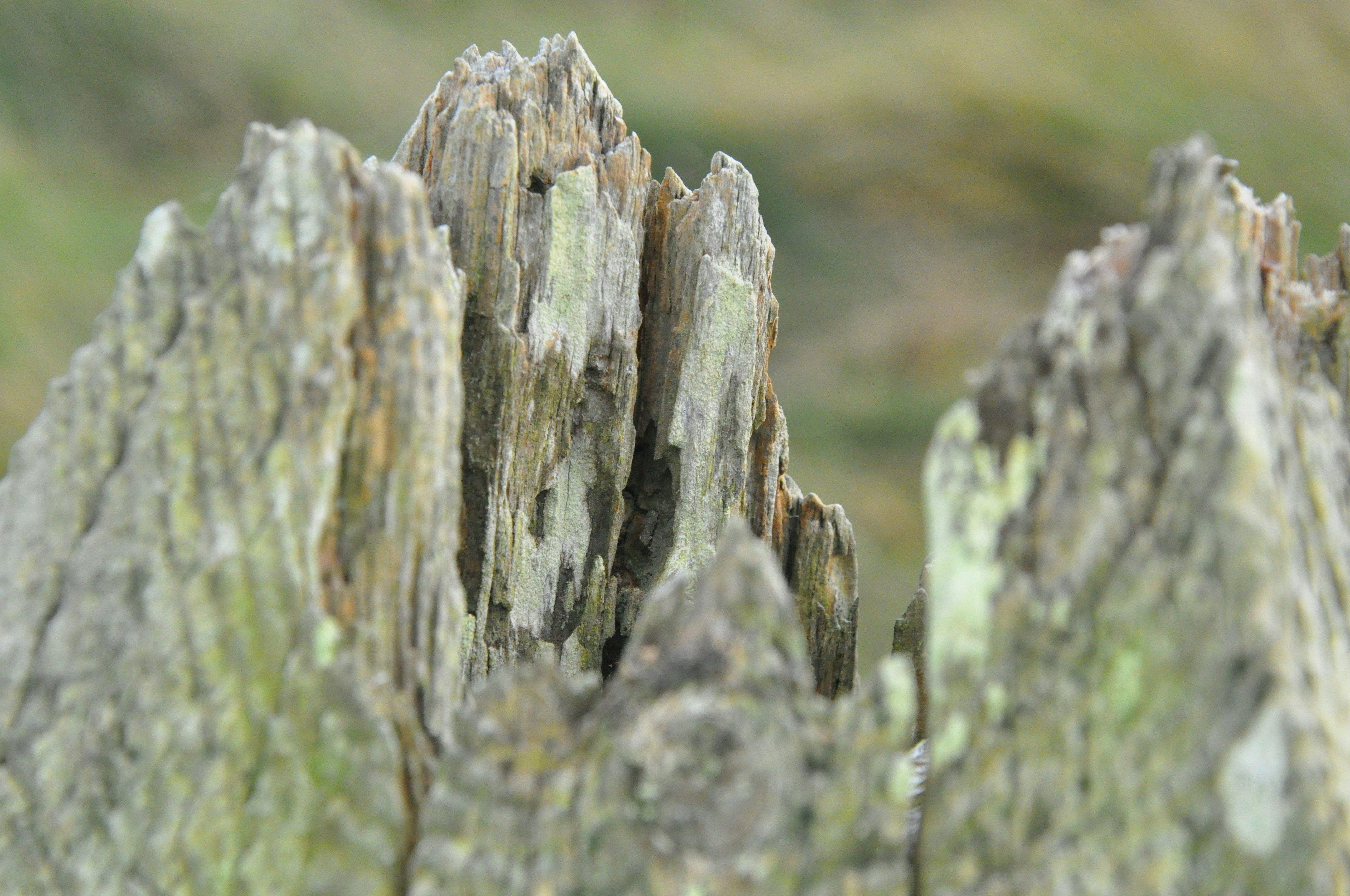 Jutland – Transportation & Getting Around