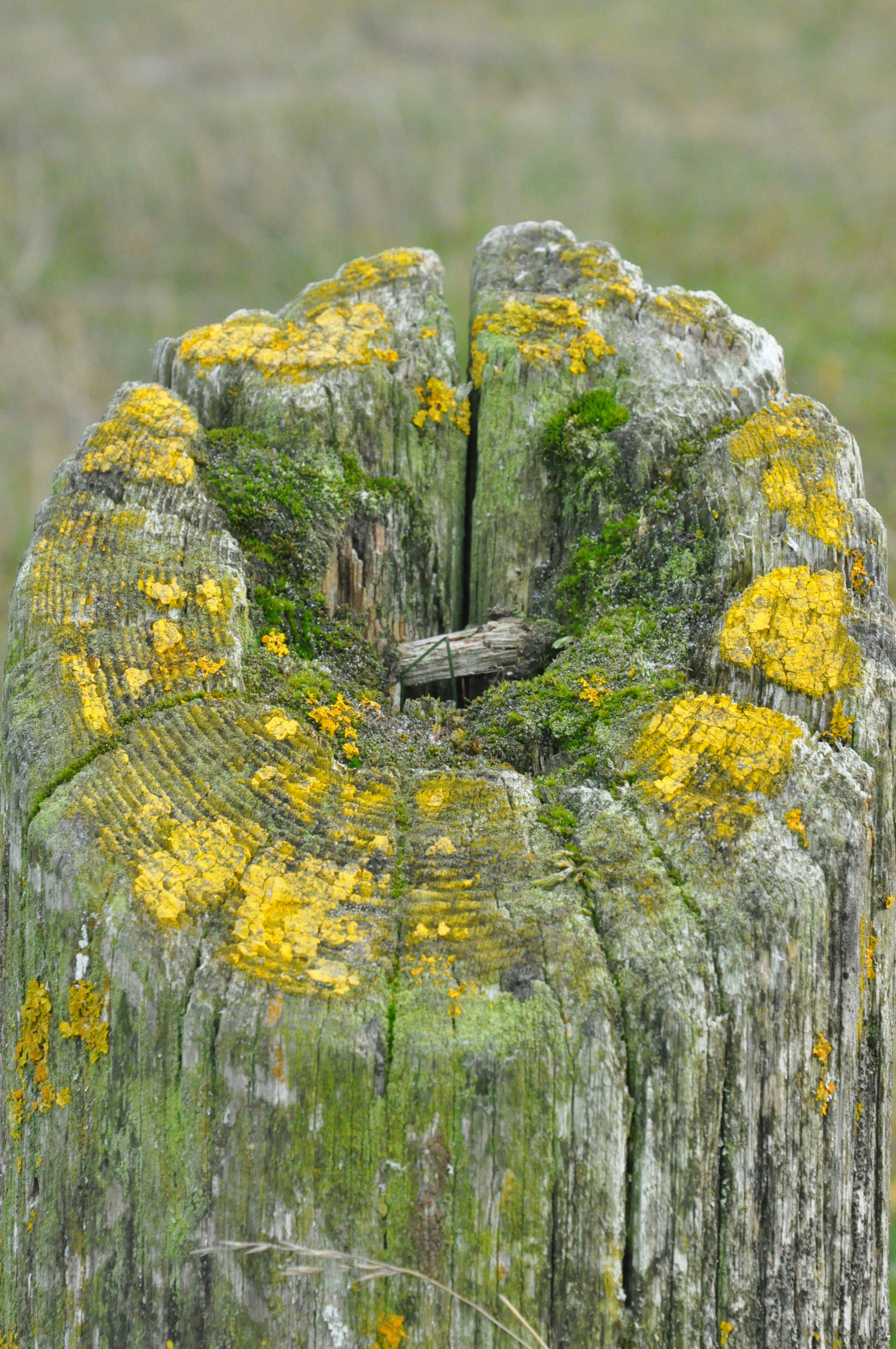 Jutland – Final Summary