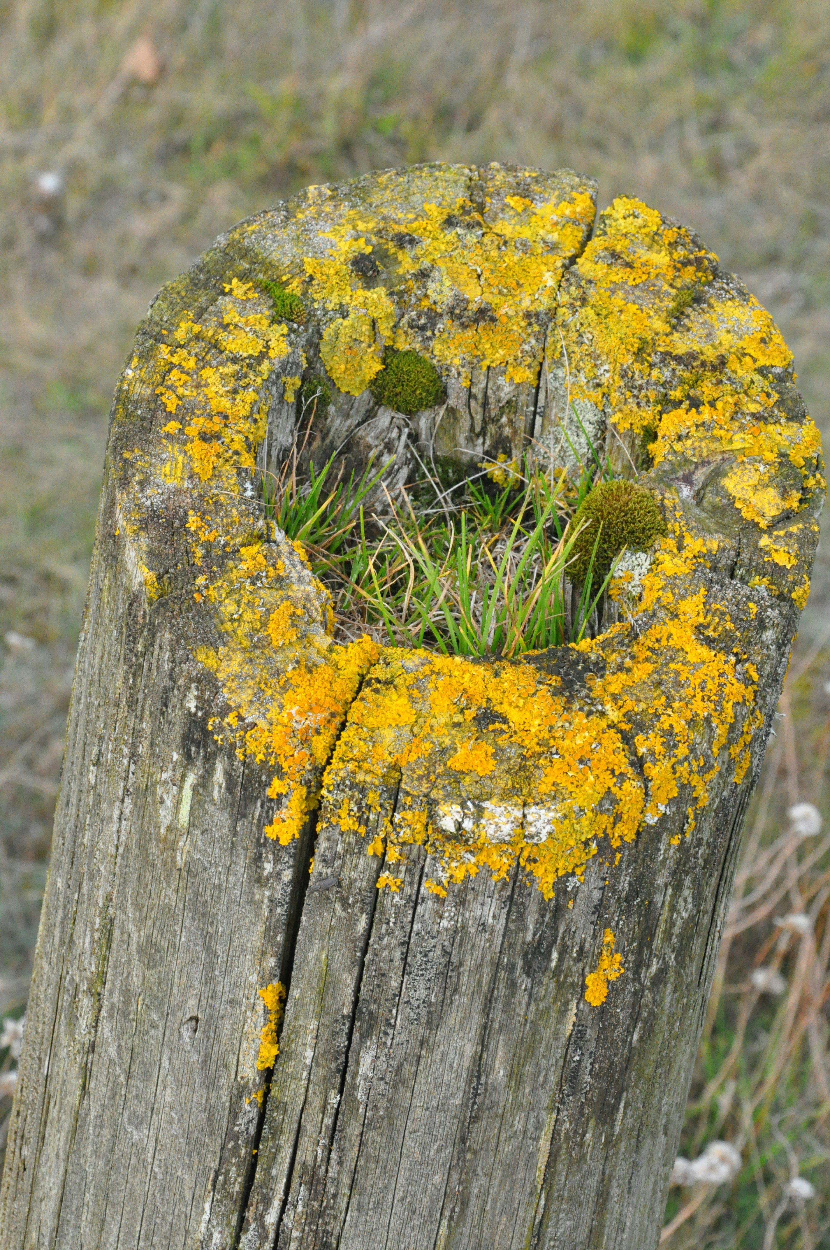 Jutland – Safety, Health & Local Etiquette