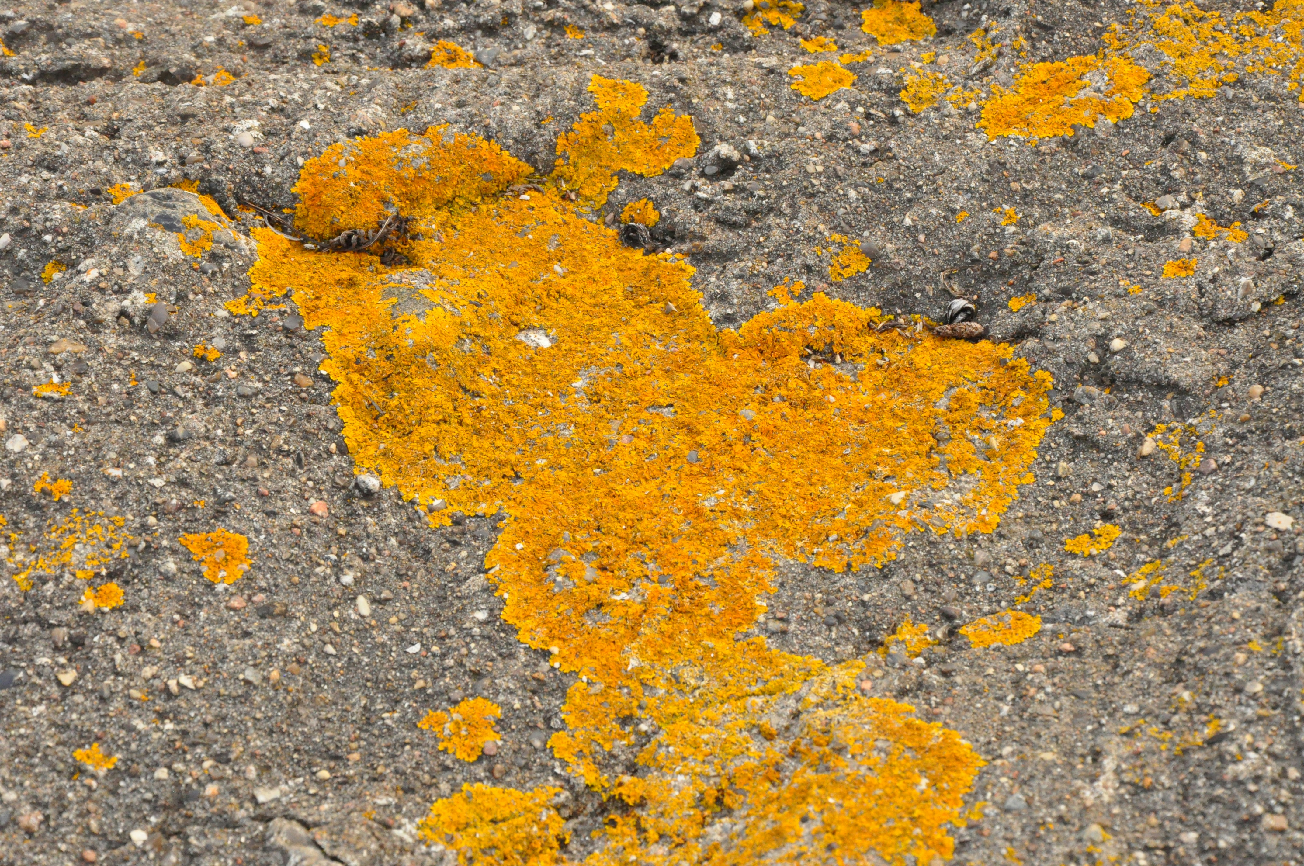 Photo by henrikvoiceofdenmark