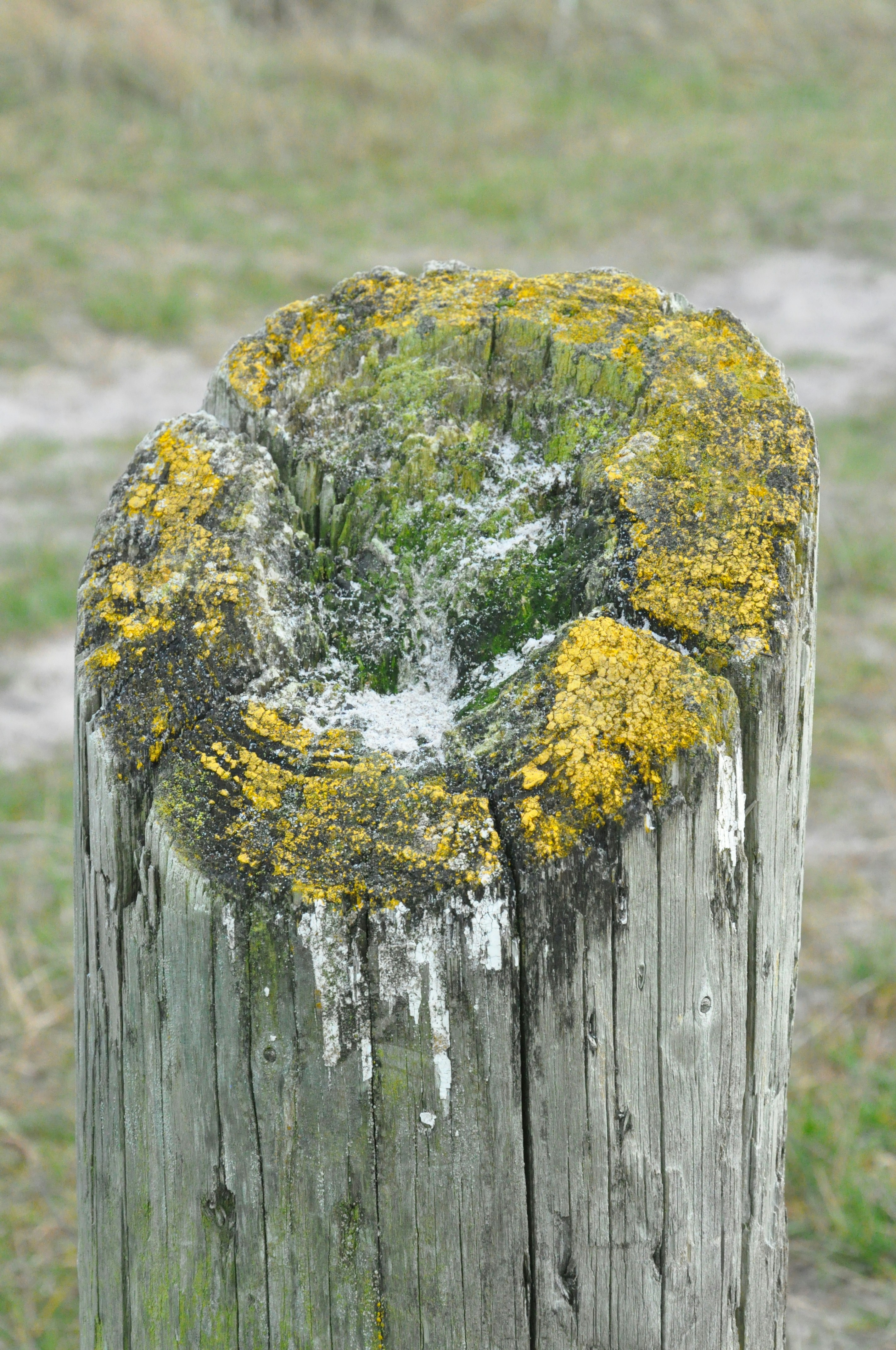 Jutland travel photo