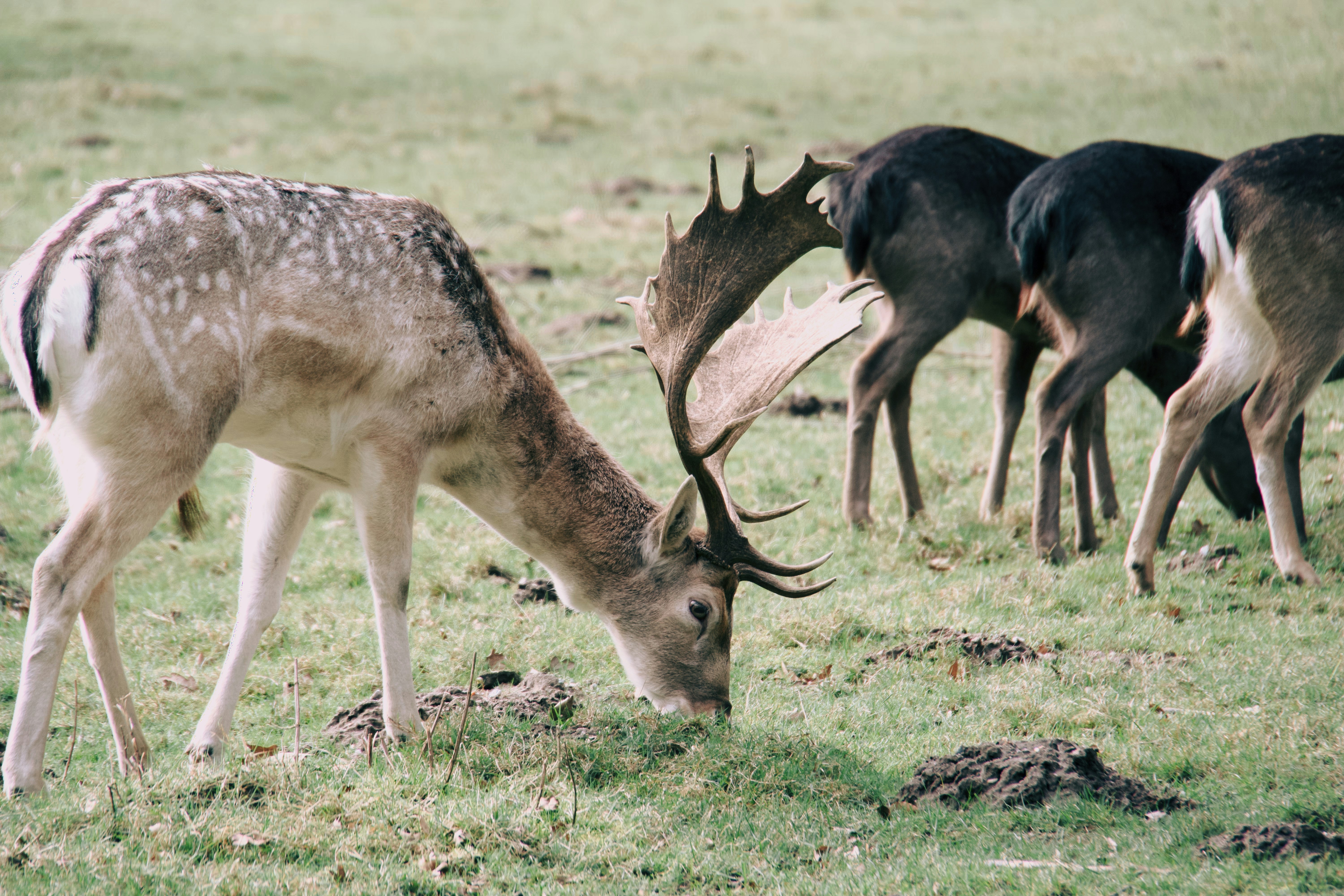Ein veröffentlichtes Foto