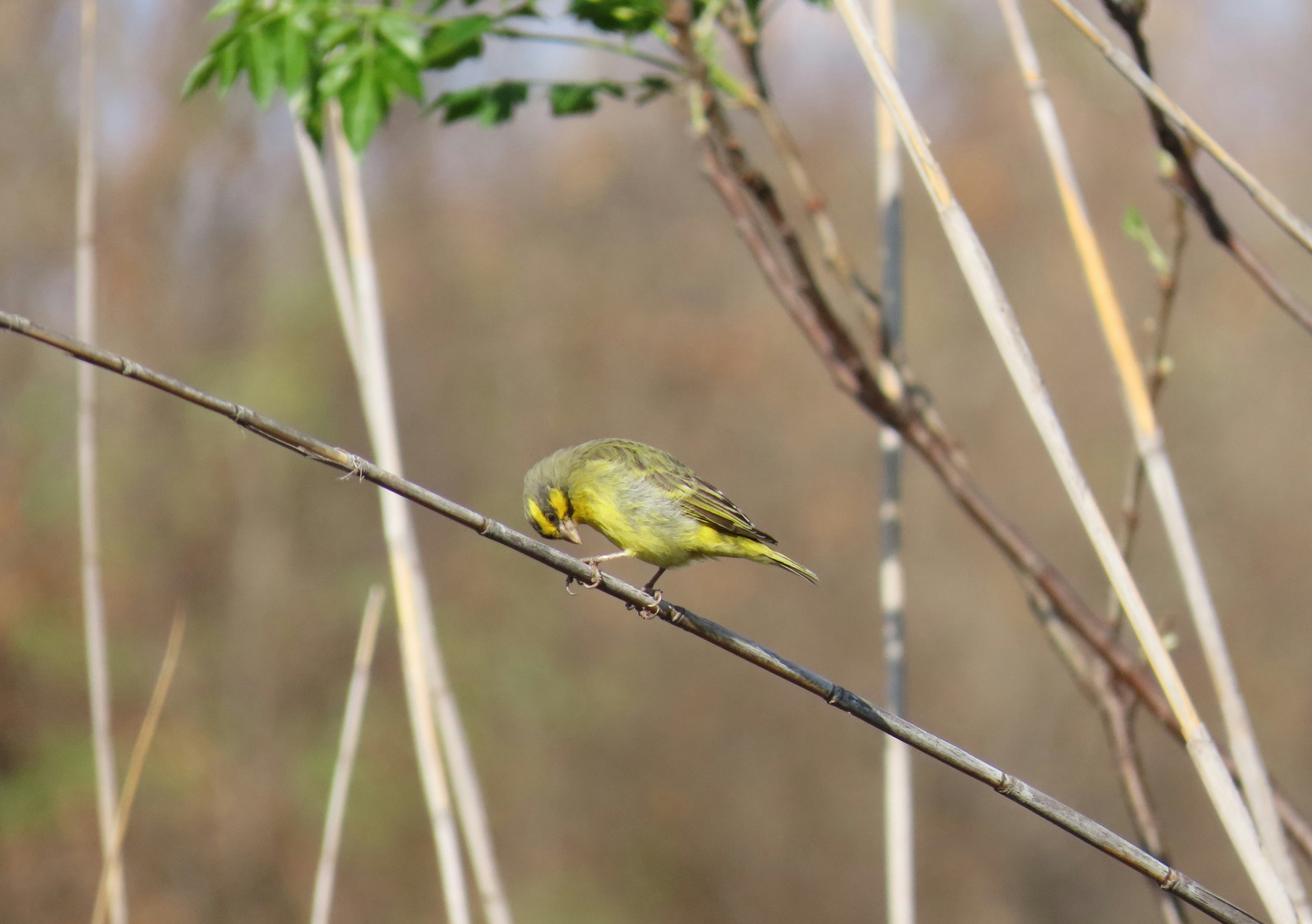 Photo by ja_photography