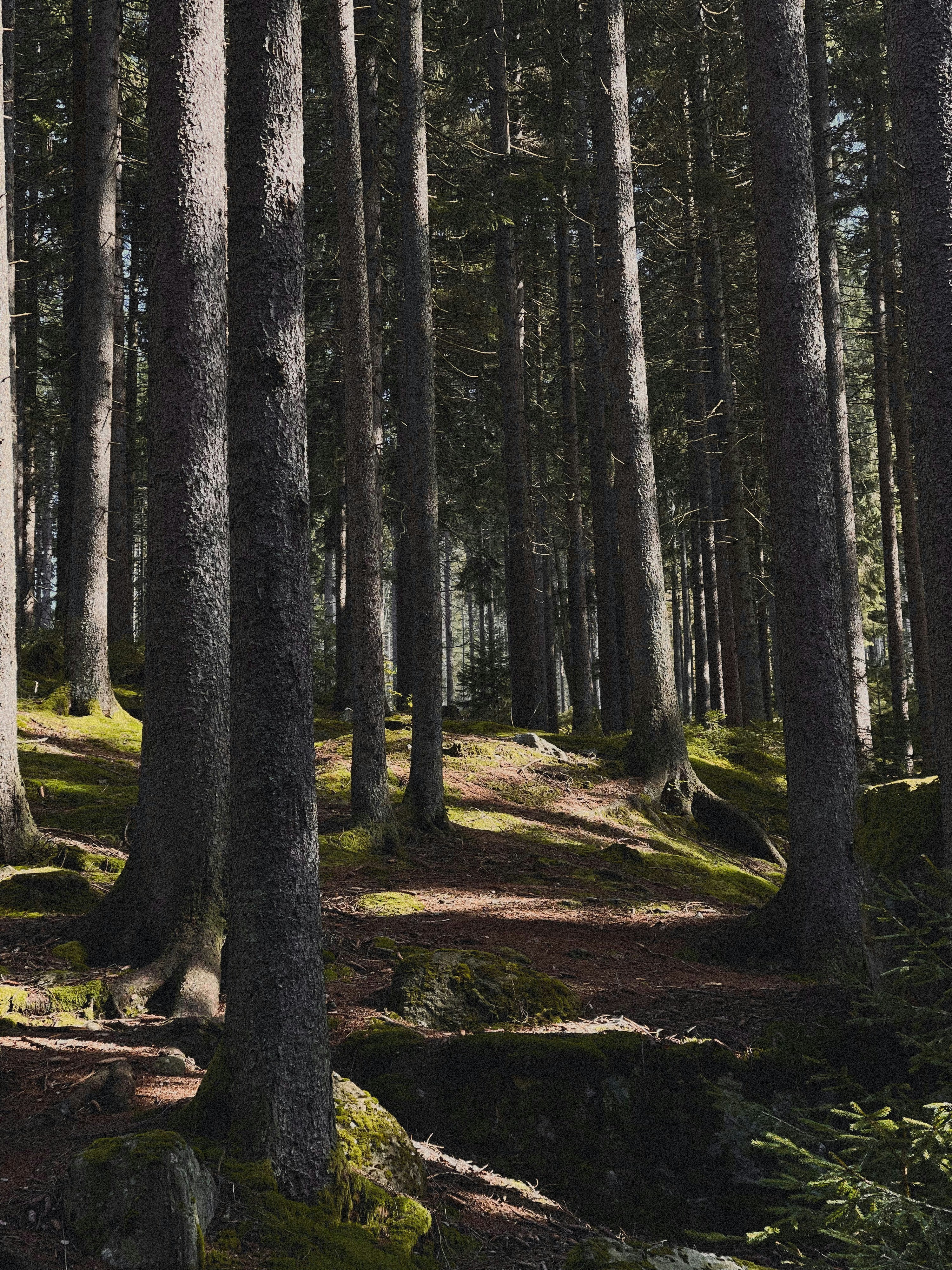 Photo by franziskawe01