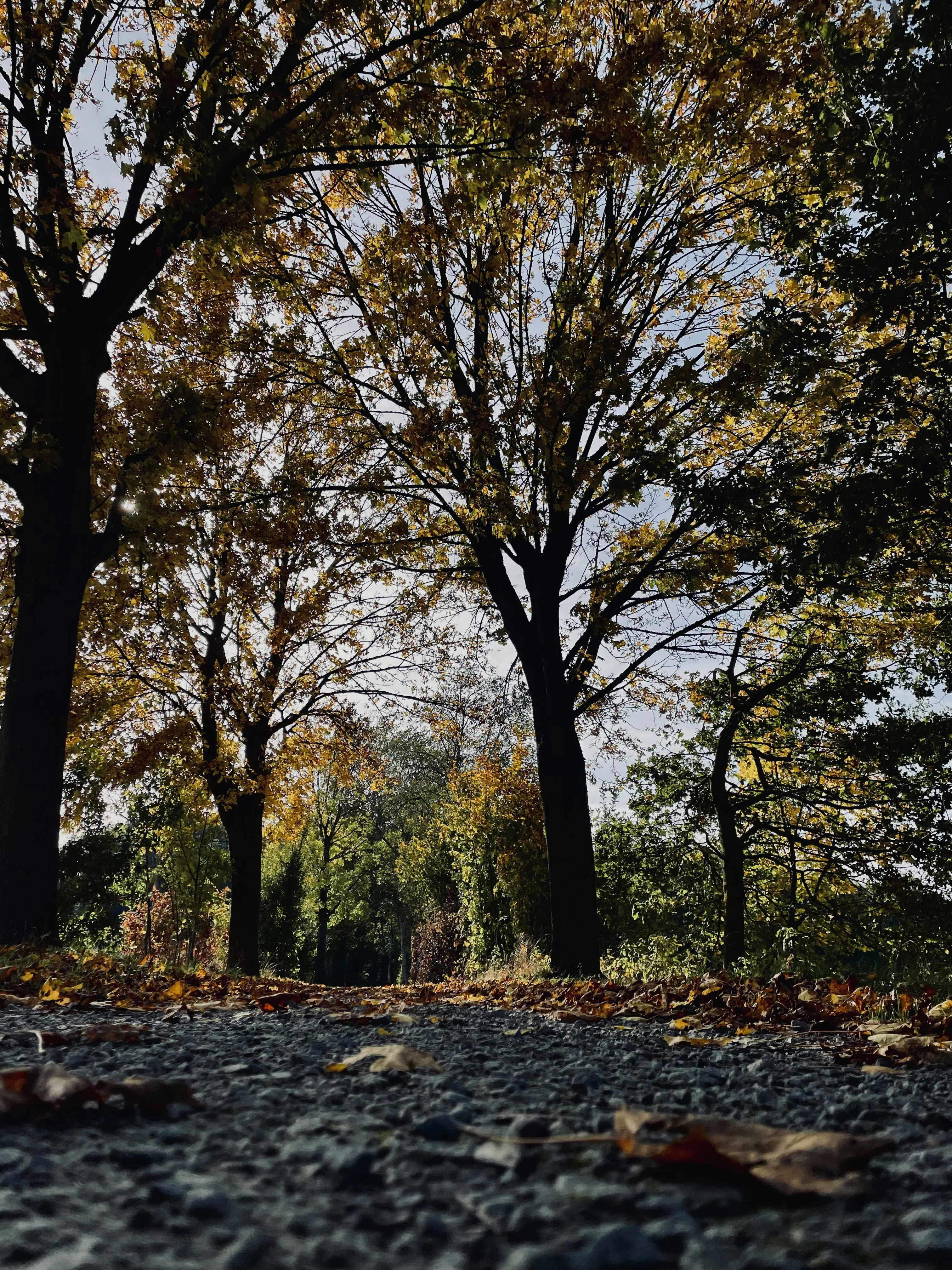 Photo by franziskawe01