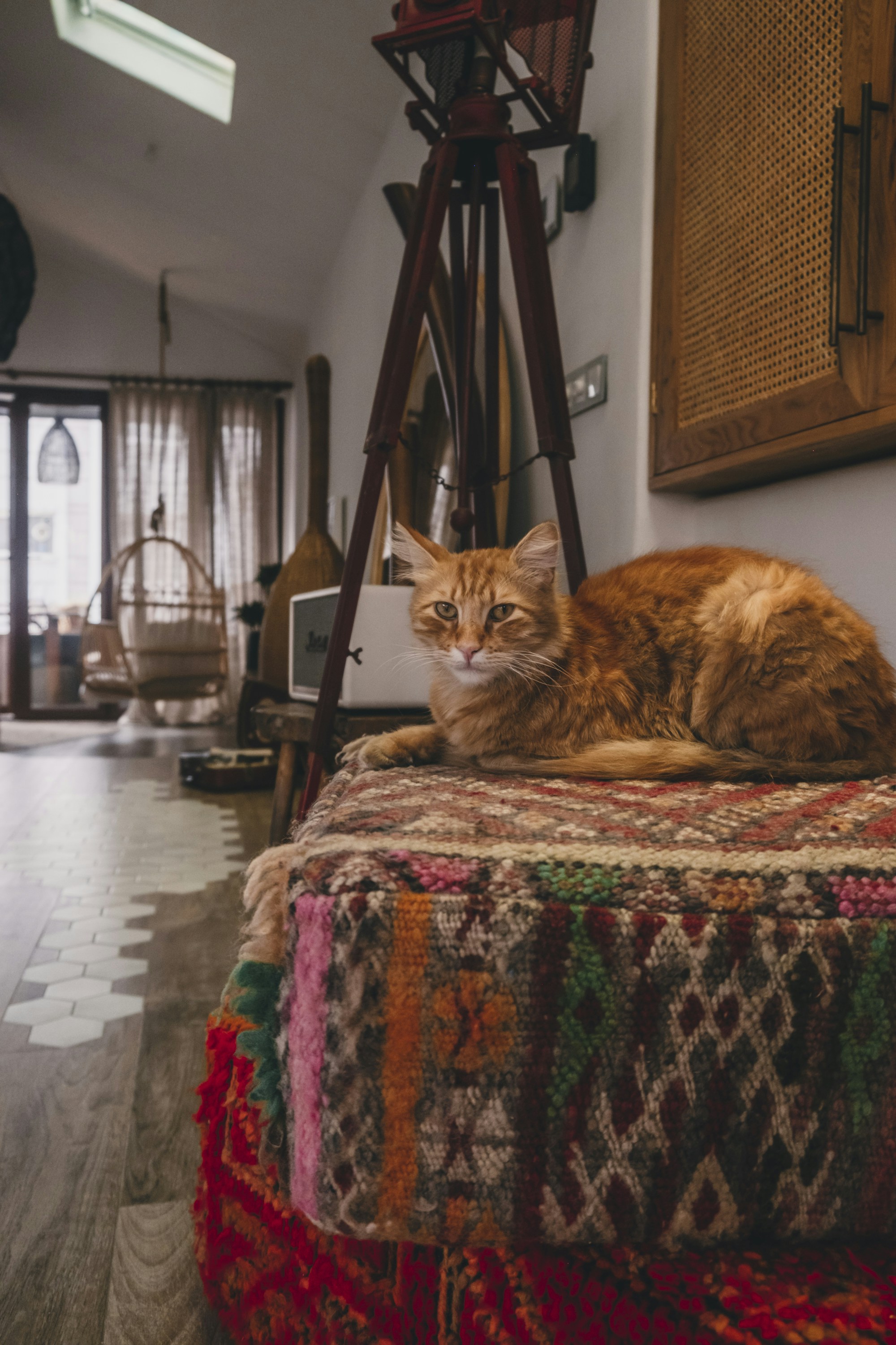 Photo by goldenhornbridge