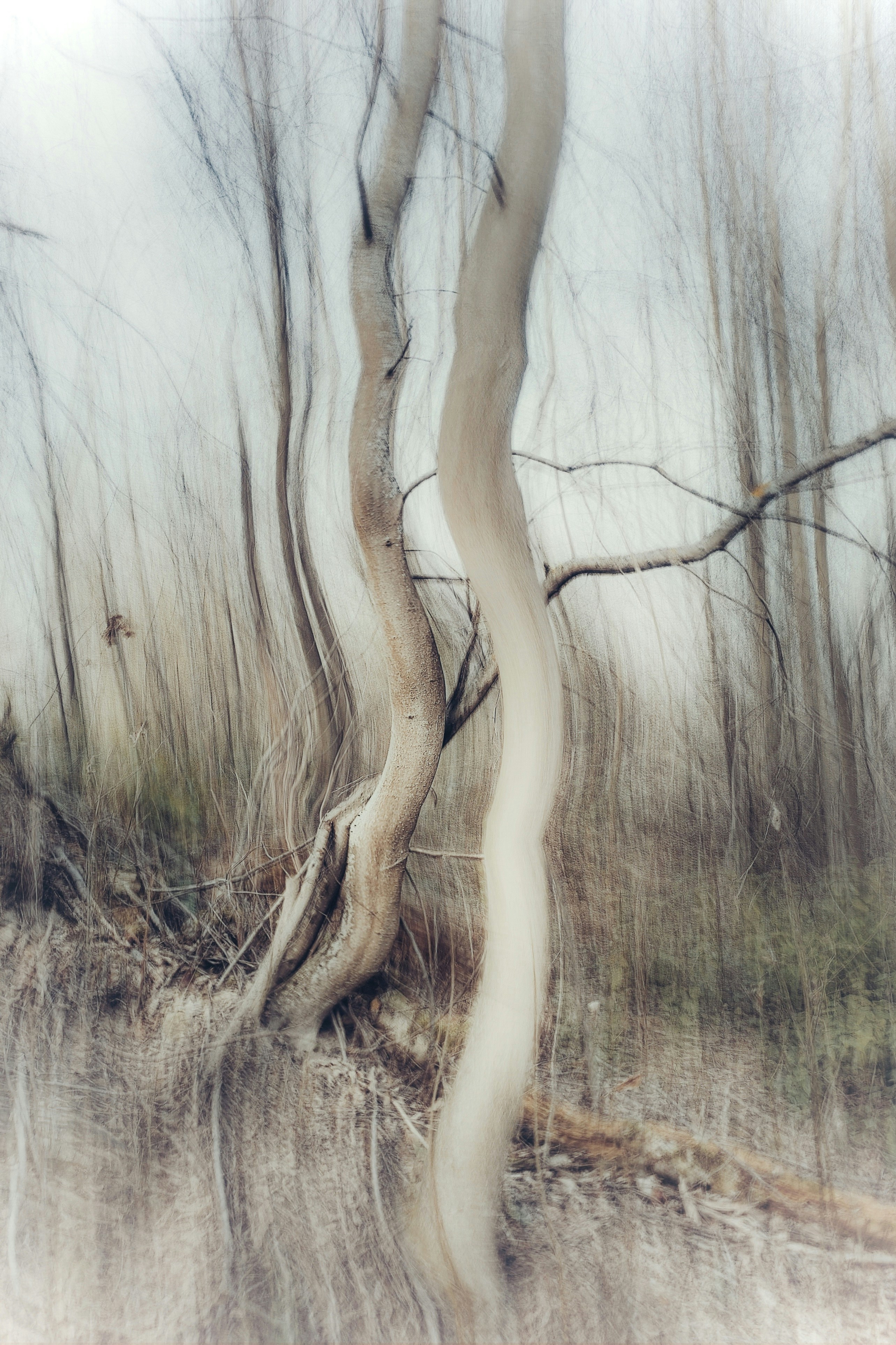 Photo by eugene_golovesov