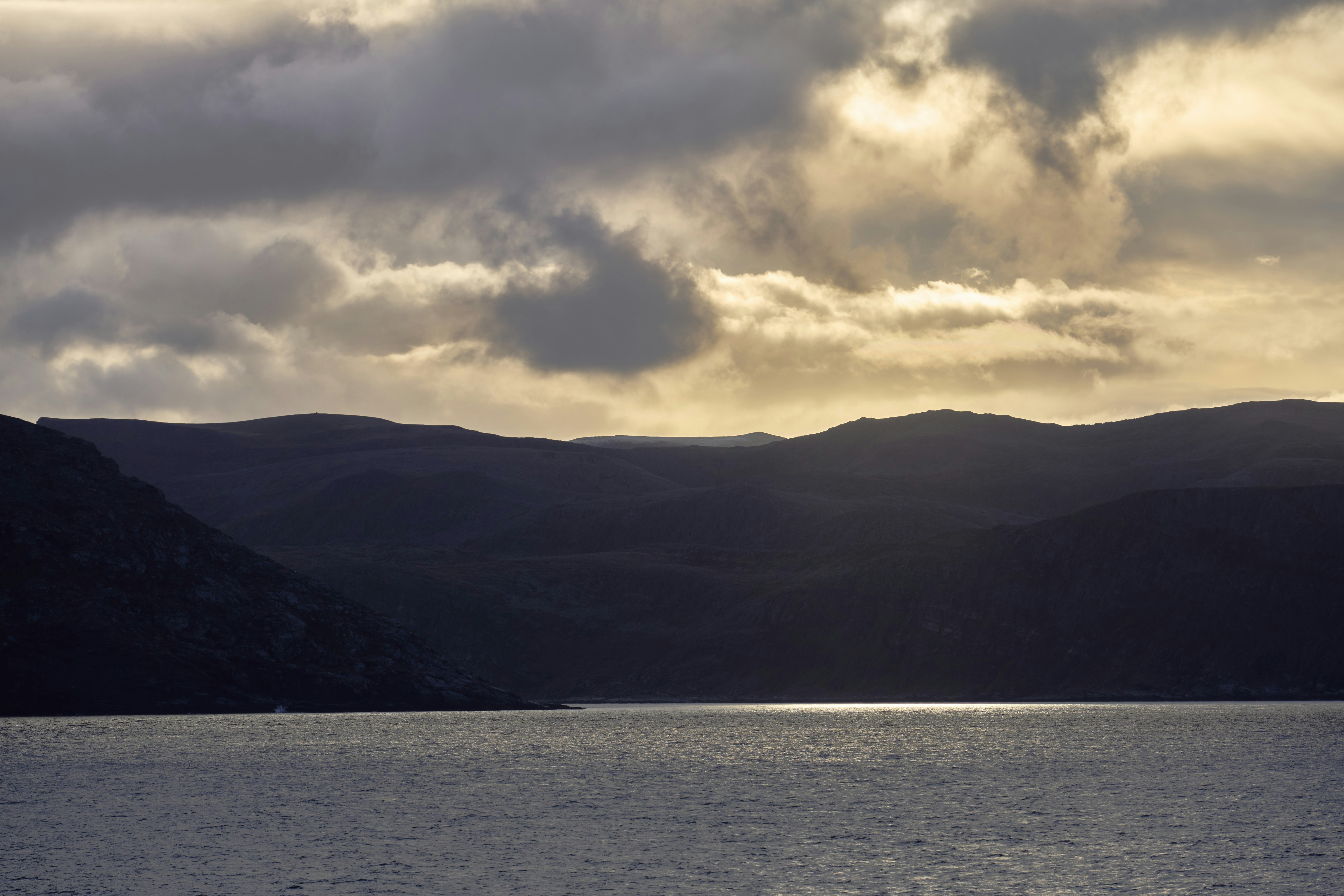 Photo by wolfgang_hasselmann