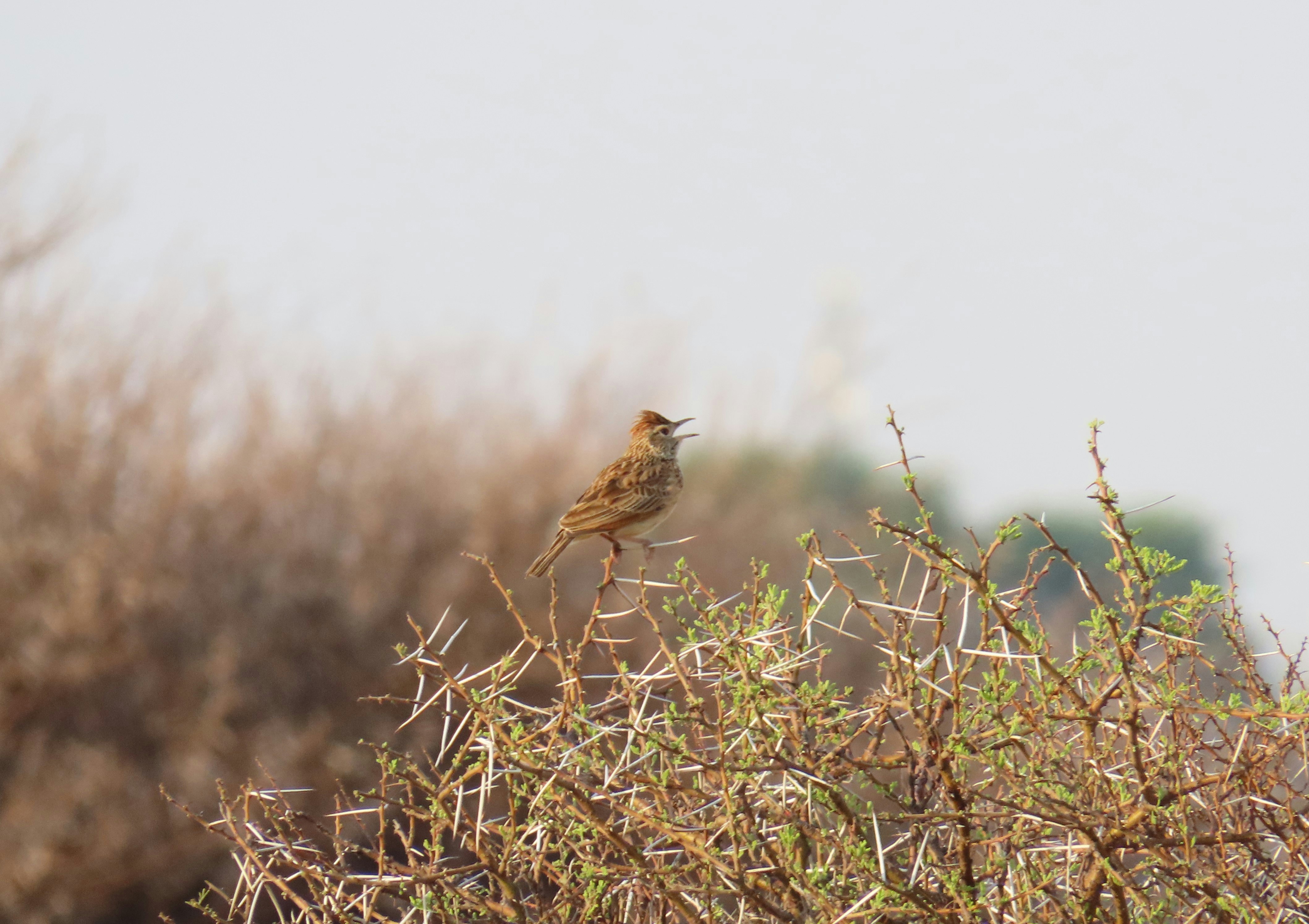 Photo by ja_photography