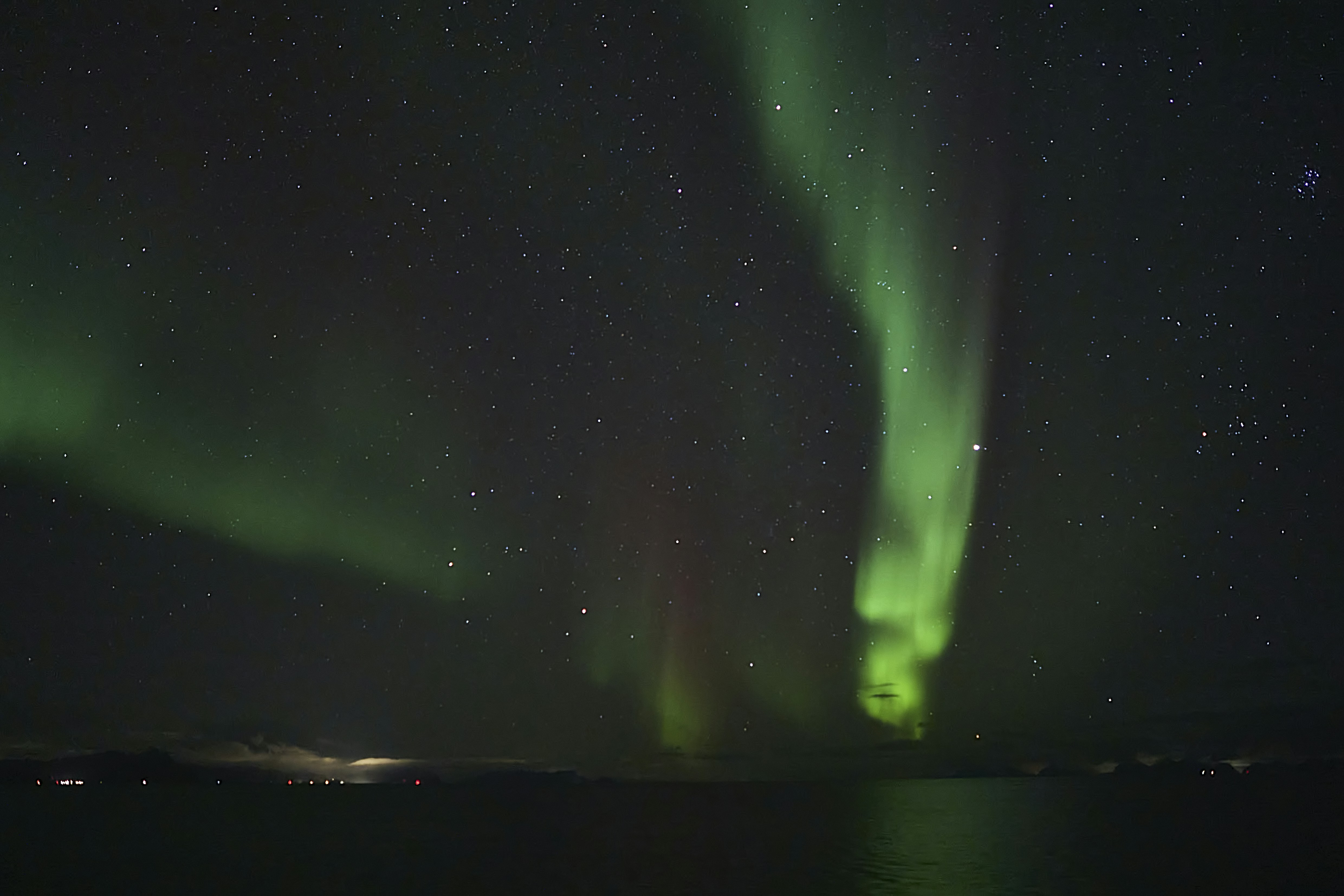 Photo by wolfgang_hasselmann