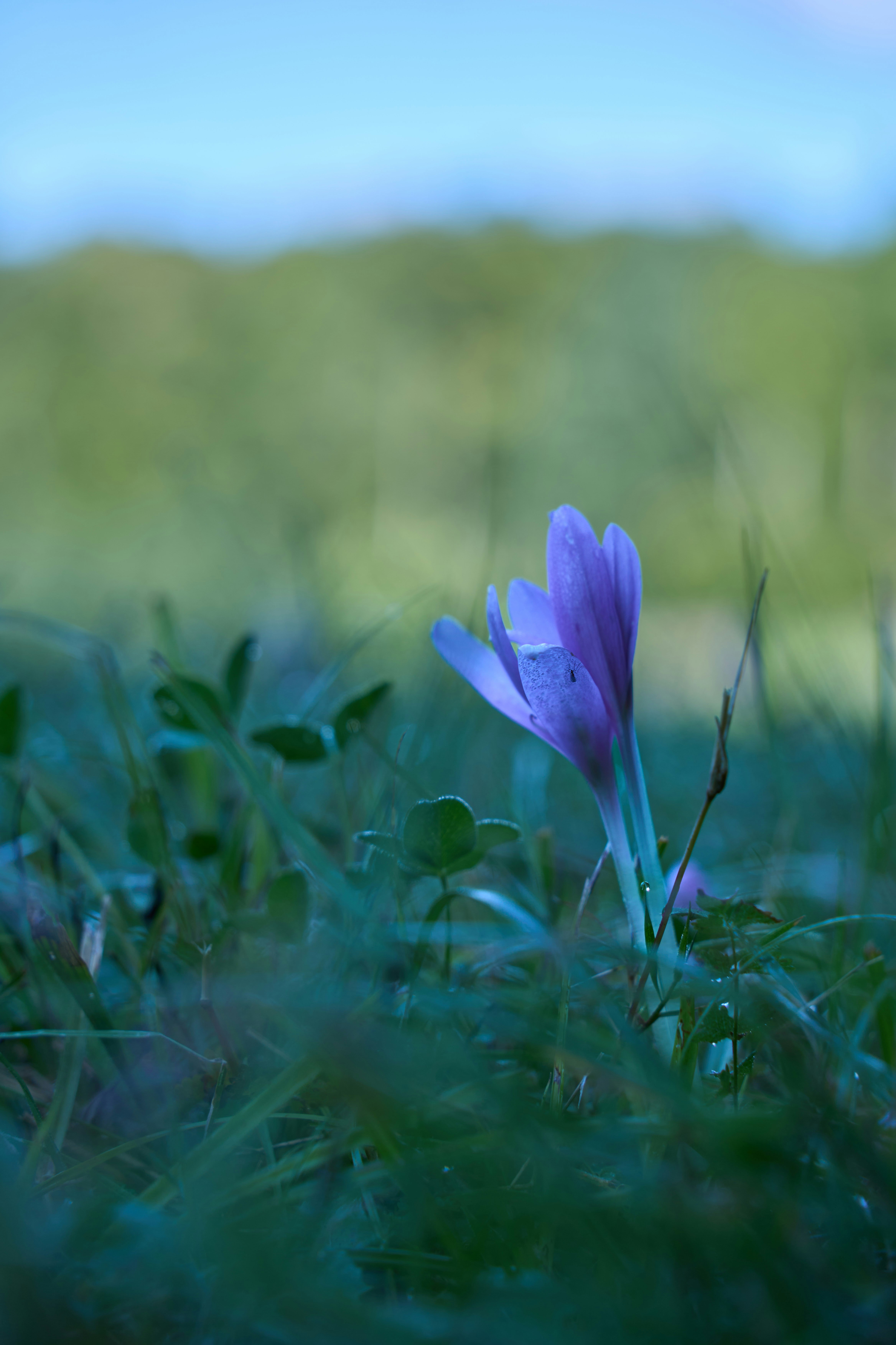 Photo by wolfgang_hasselmann