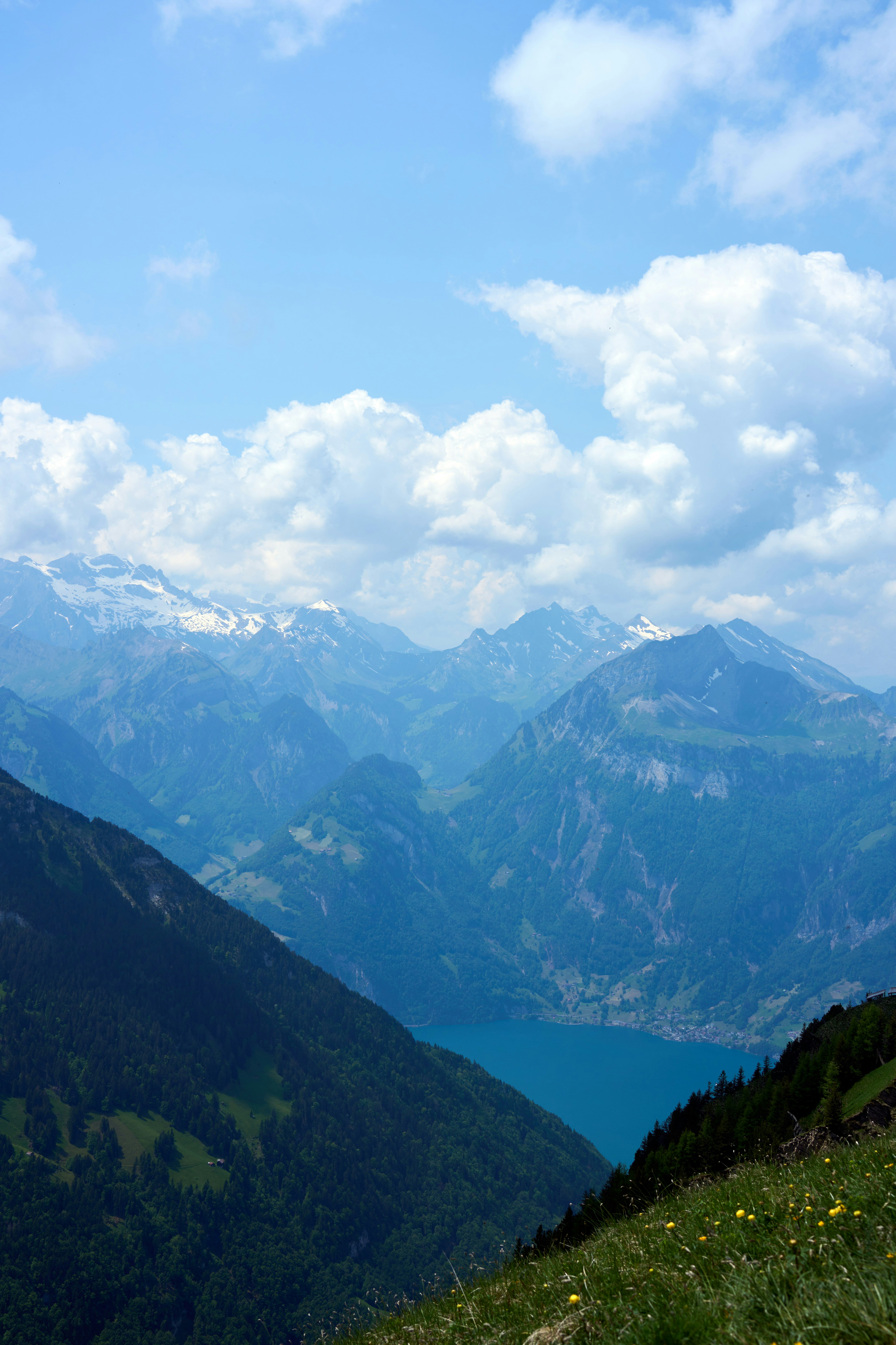 Photo by wolfgang_hasselmann