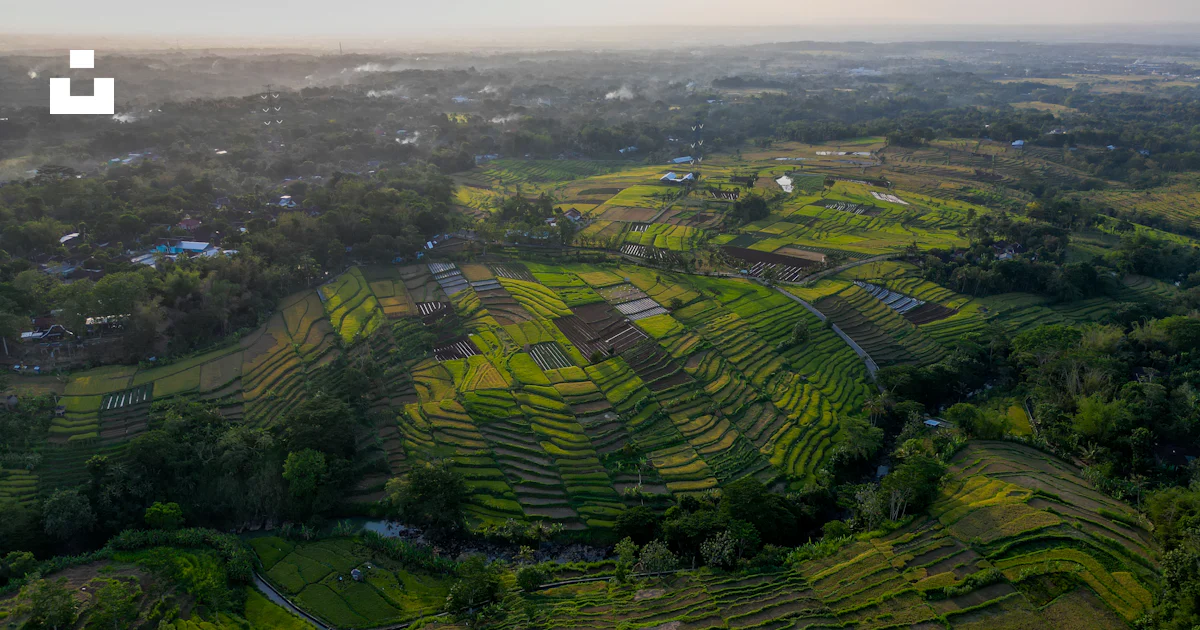An aerial view of a lush green valley photo – Free Central java Image ...