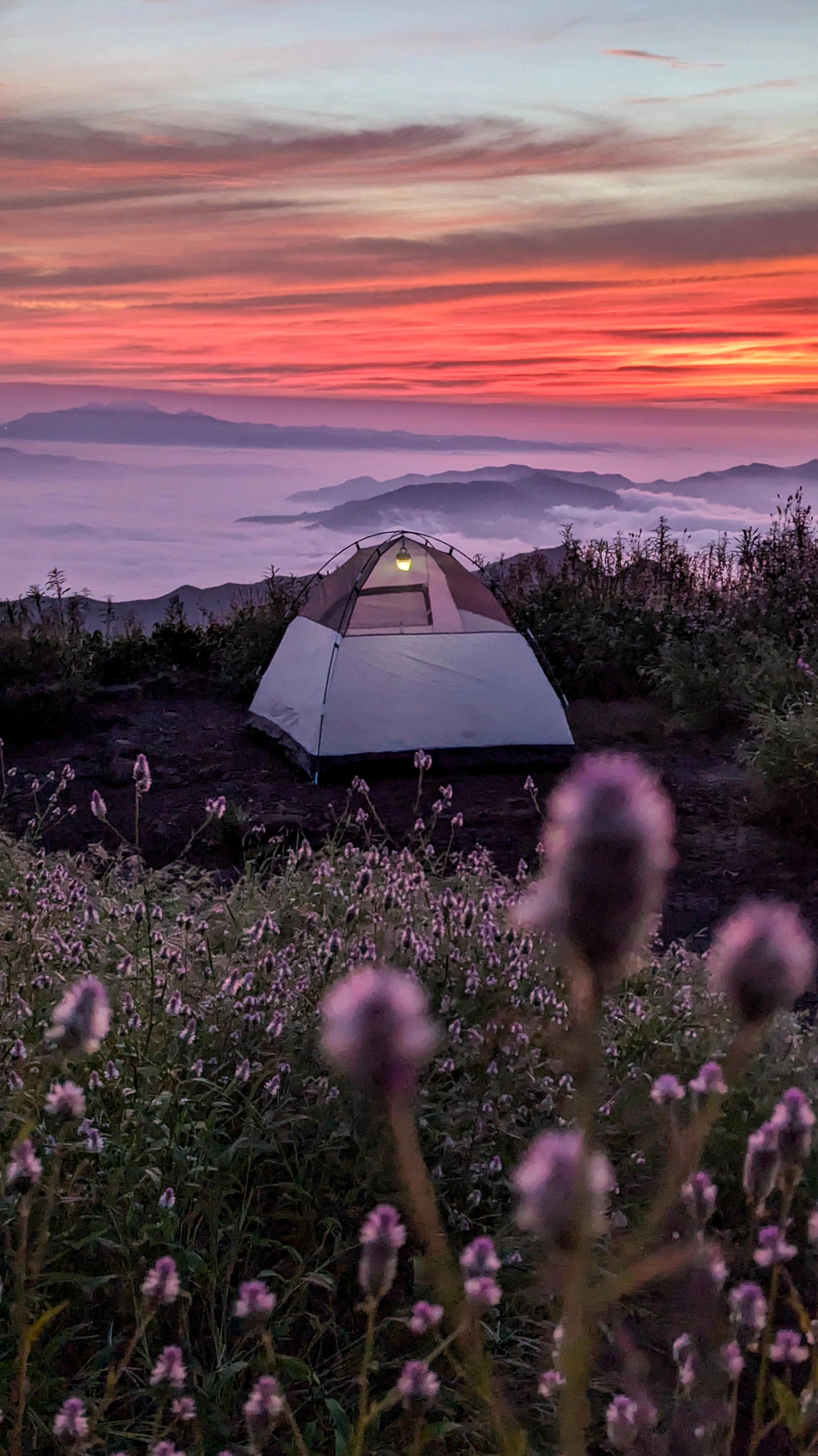 A mountain campsite surrounded by wildflowers beneath a colorful sky