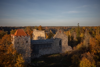 An aerial view of a castle surrounded by trees