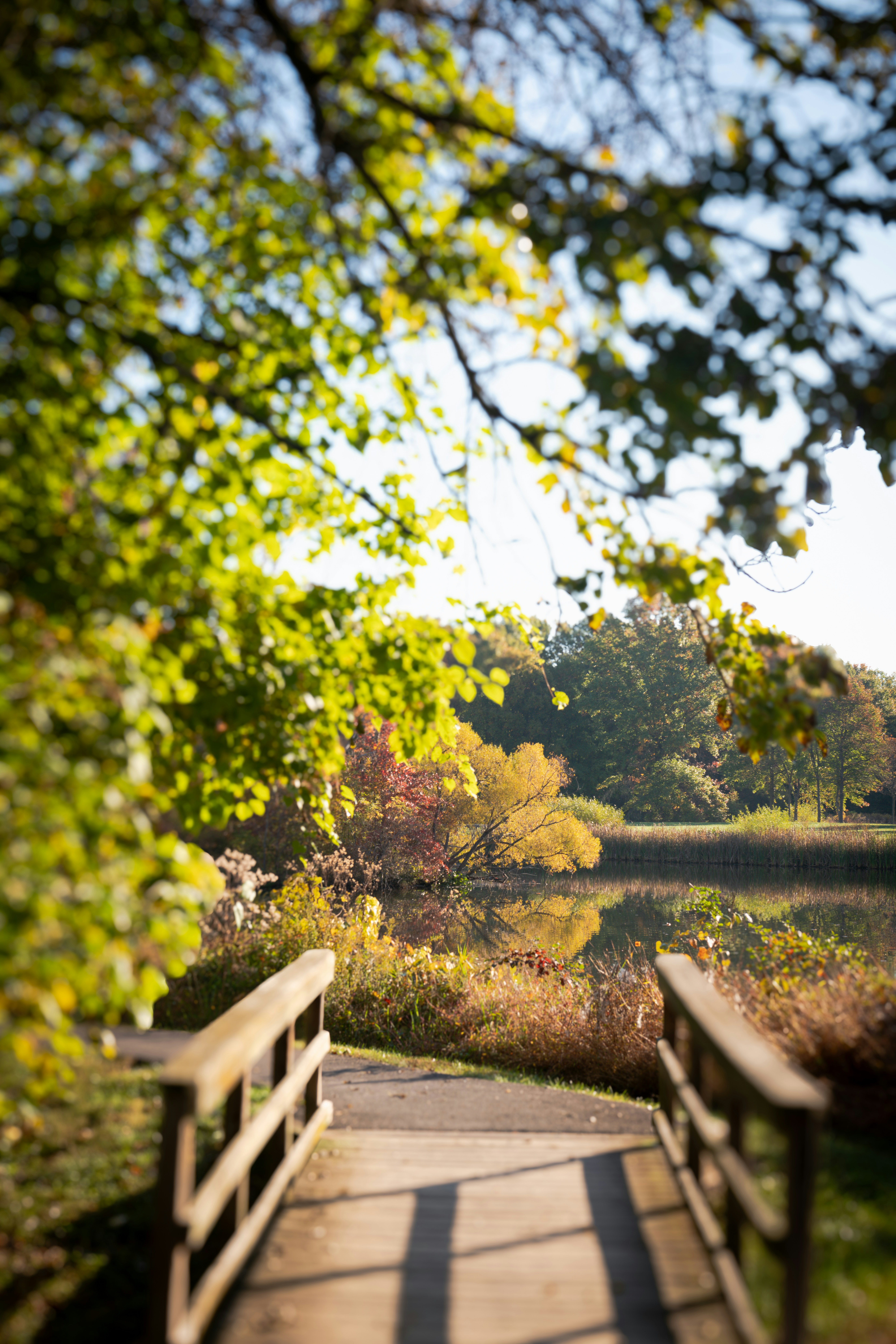 Photo by sriniunsplash