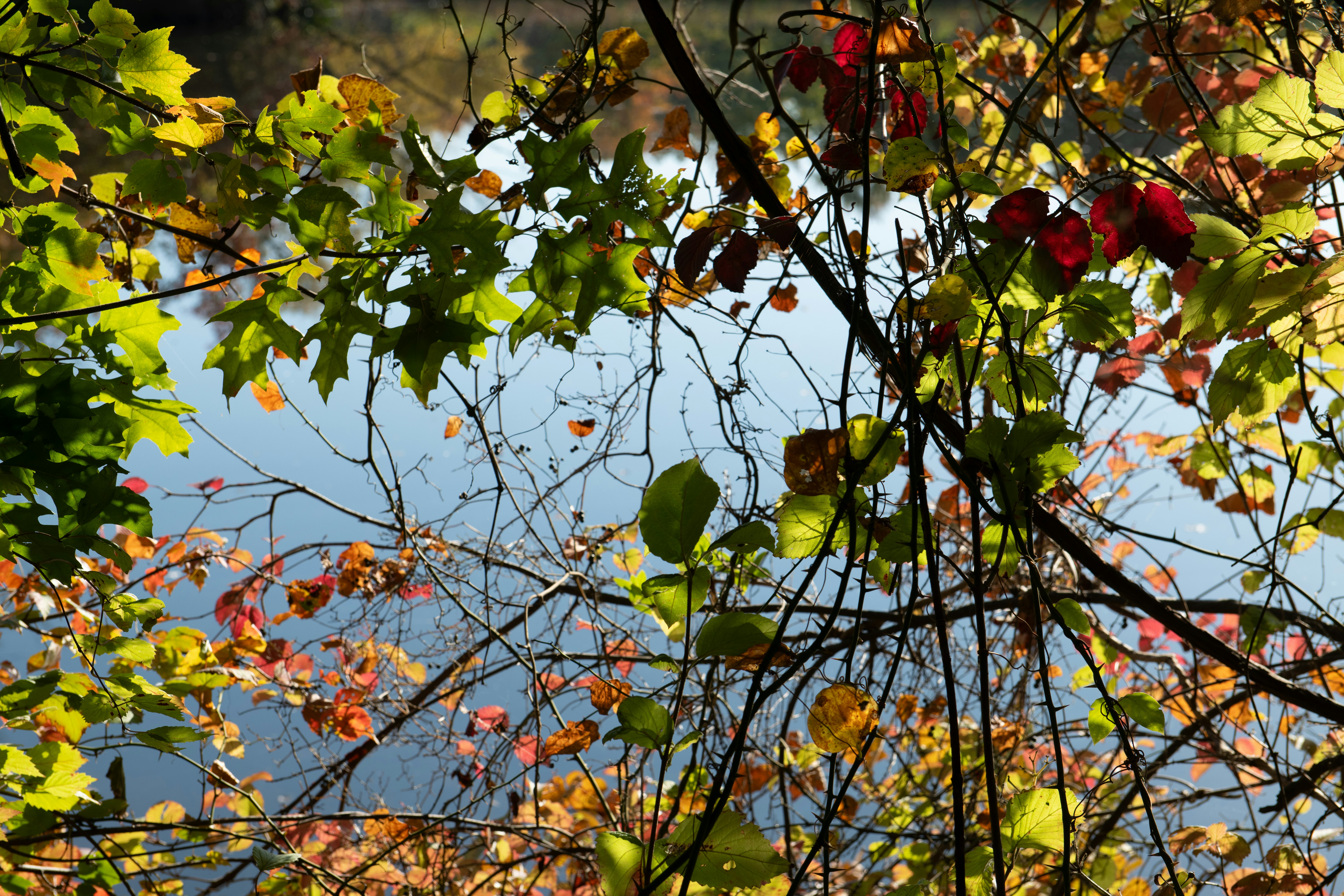 Photo by sriniunsplash