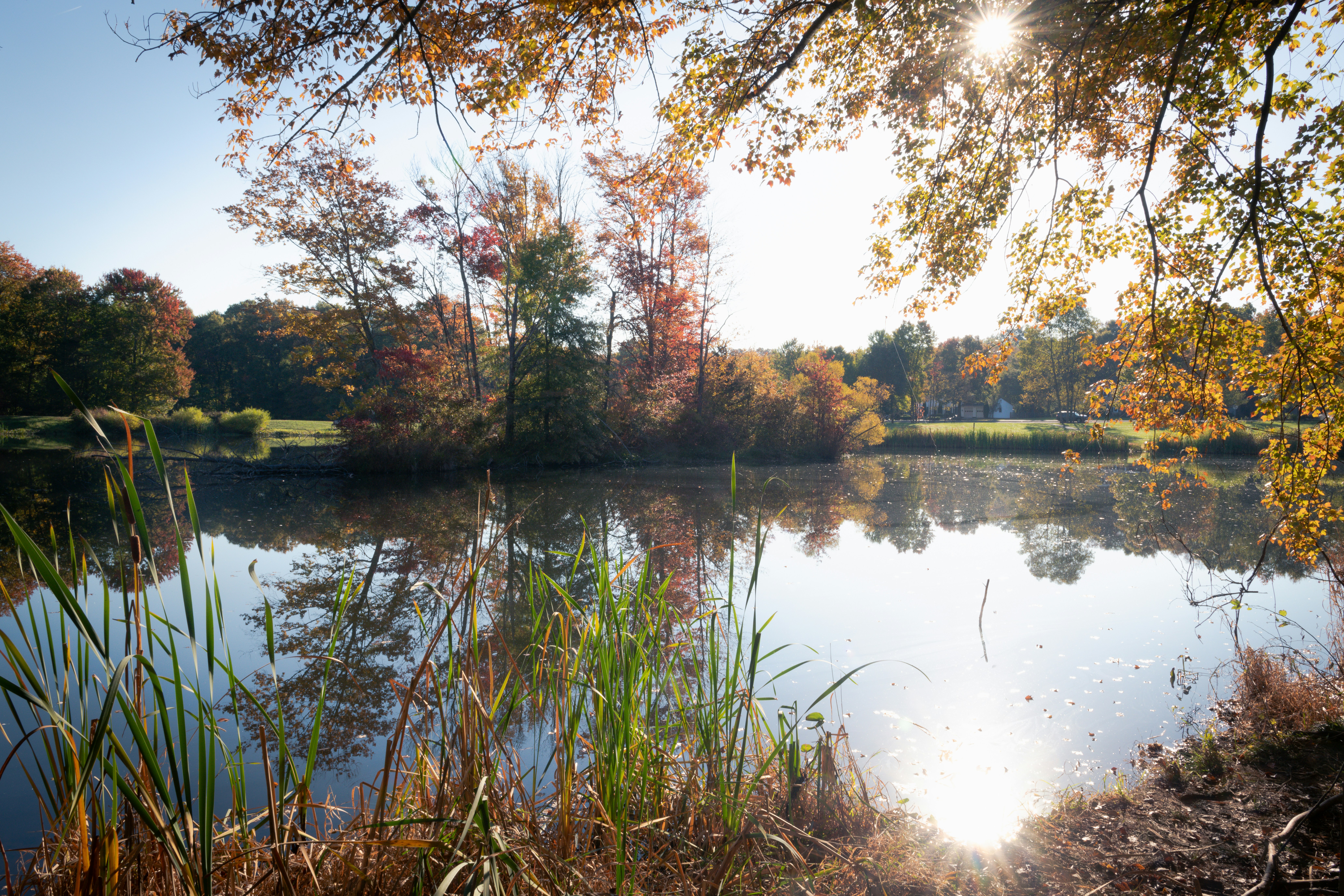 Photo by sriniunsplash