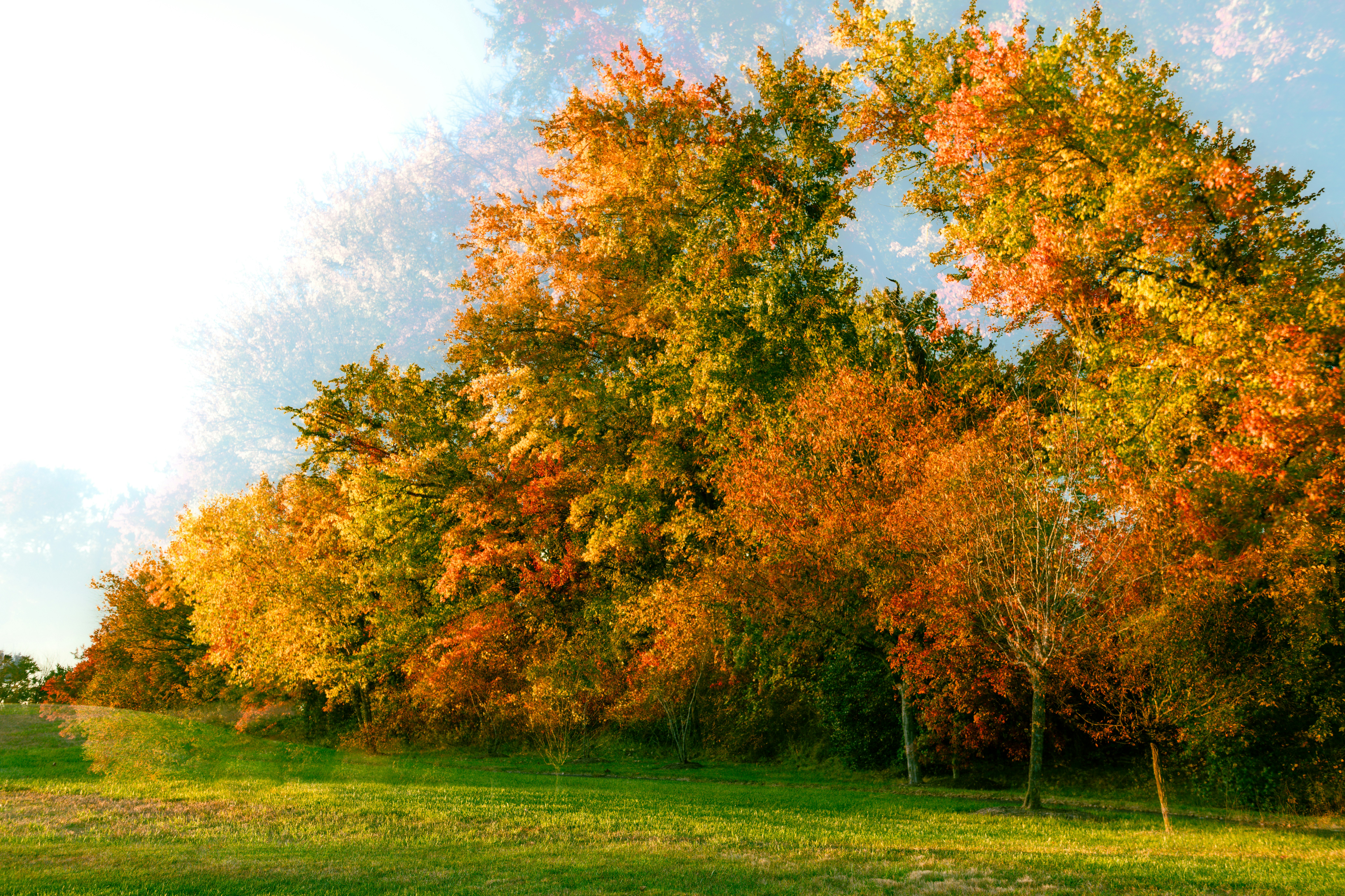 Photo by sriniunsplash