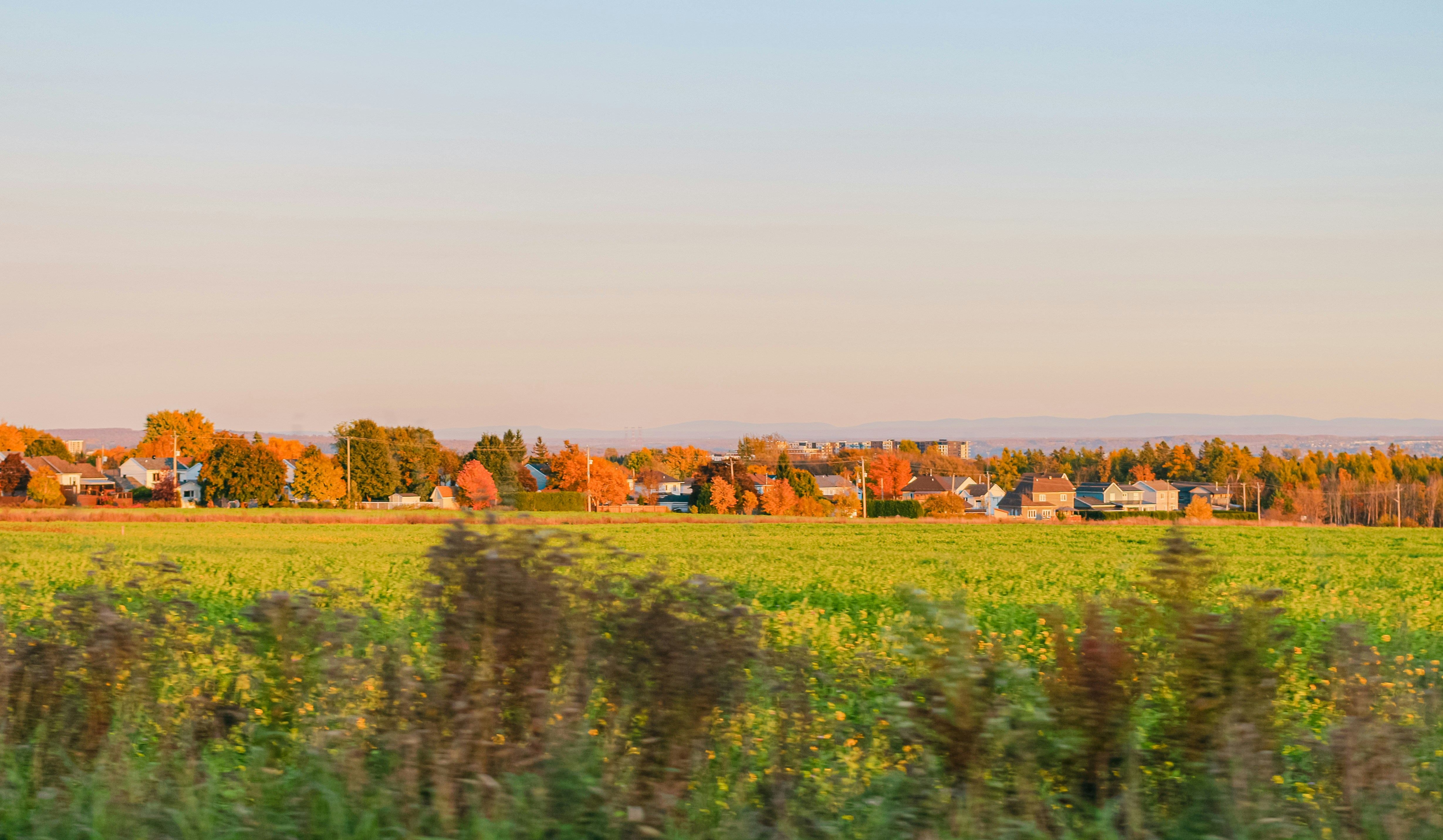 A field with a small town in the distance