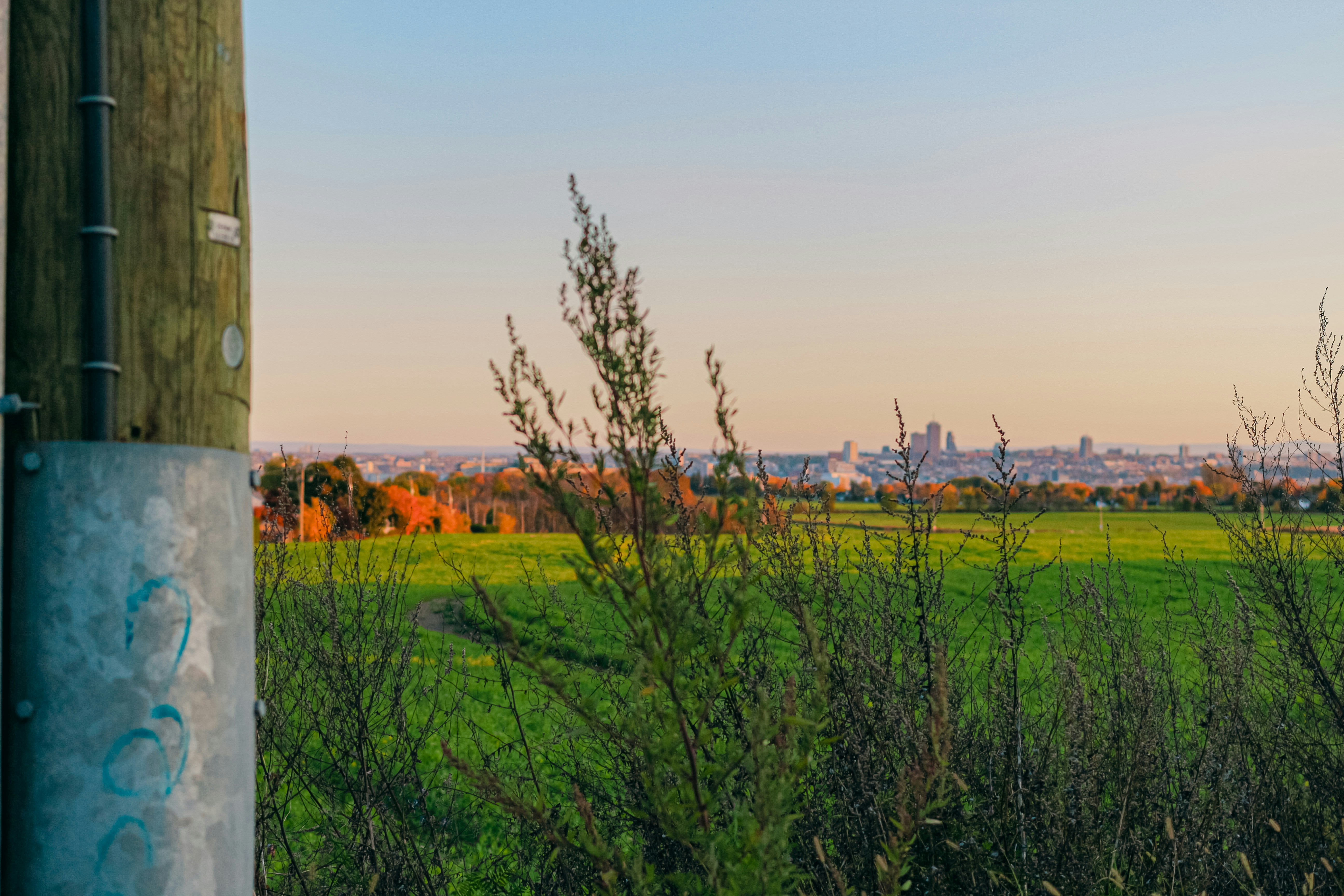 A view of a grassy field from behind a telephone pole