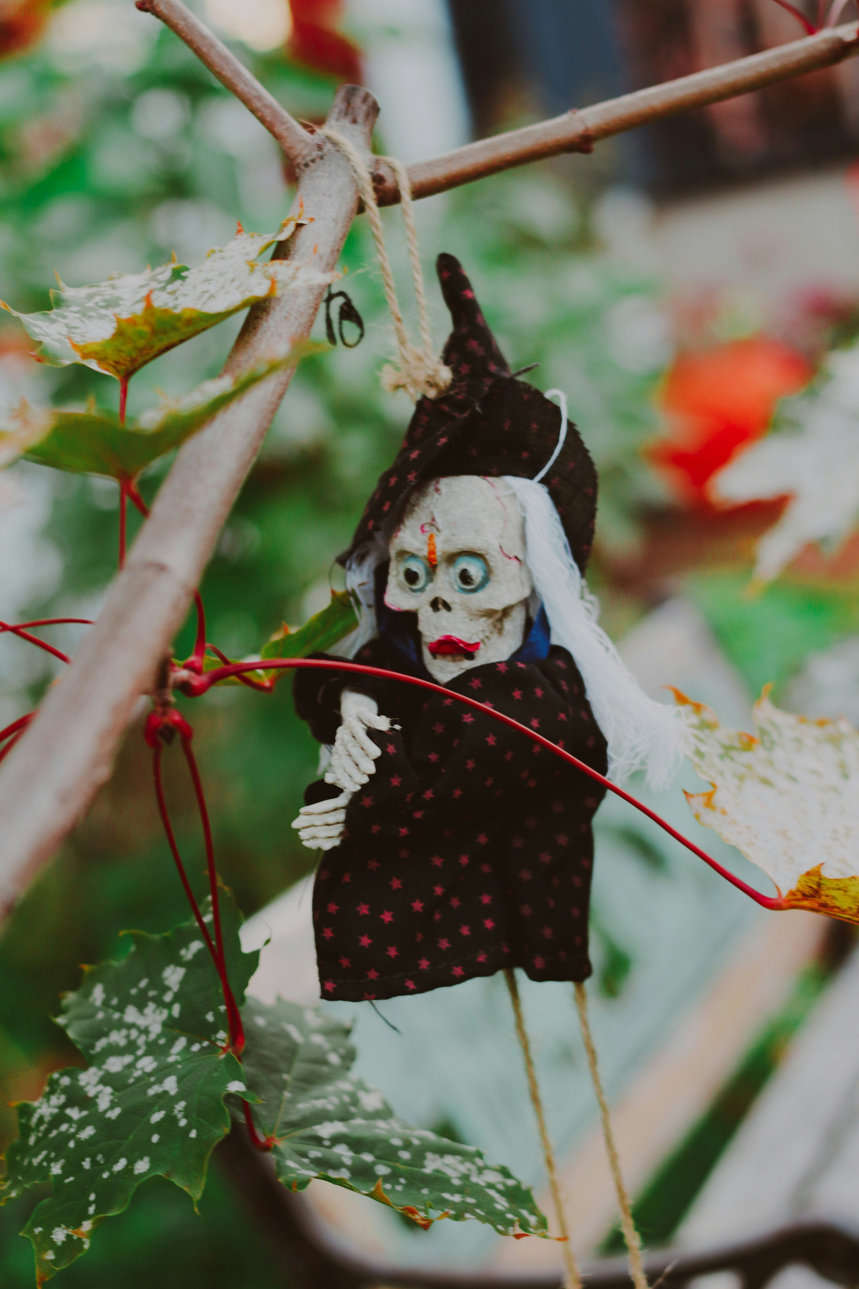 A creepy doll hanging from a tree branch