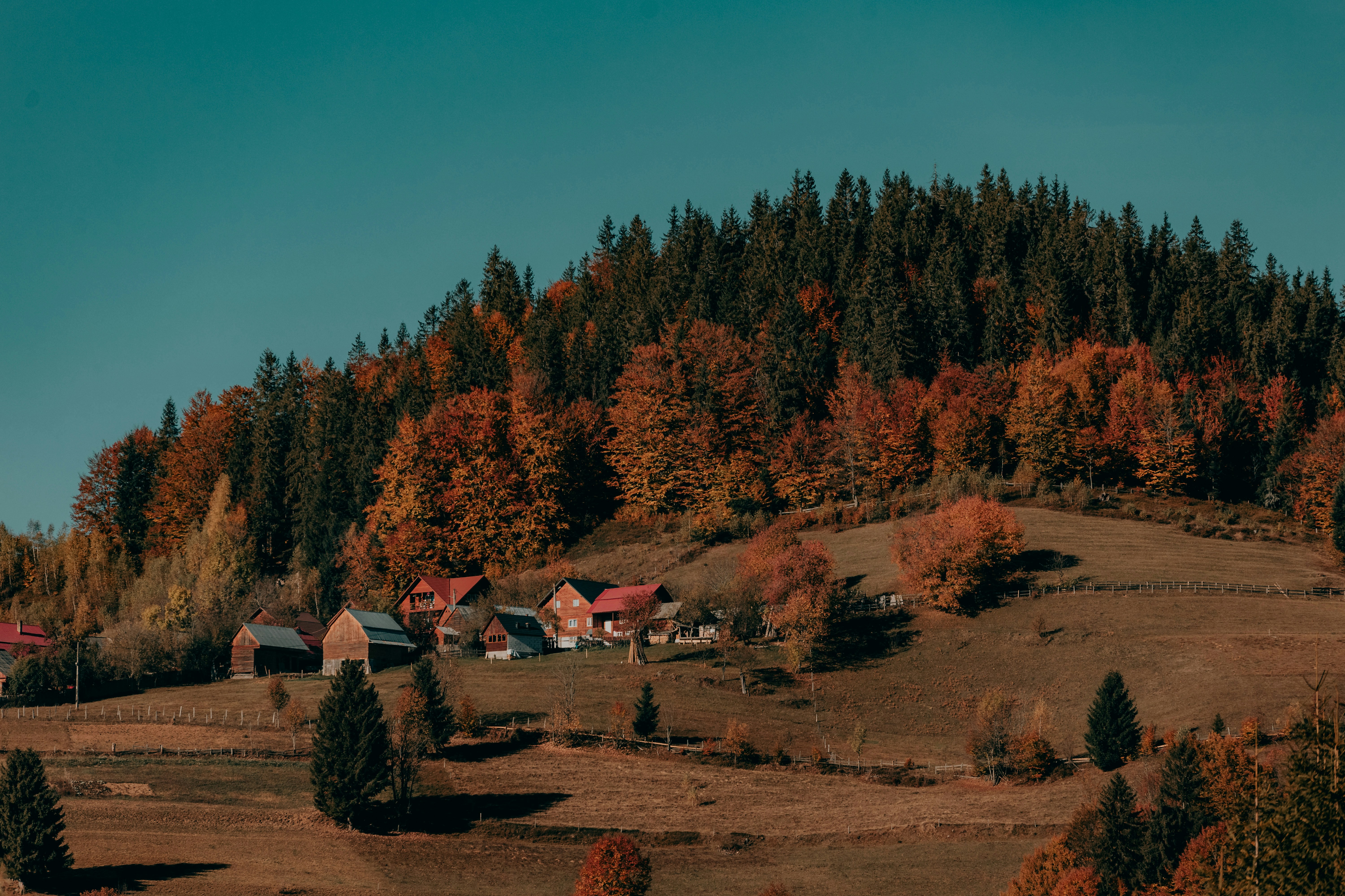 Photo by sylvester_s