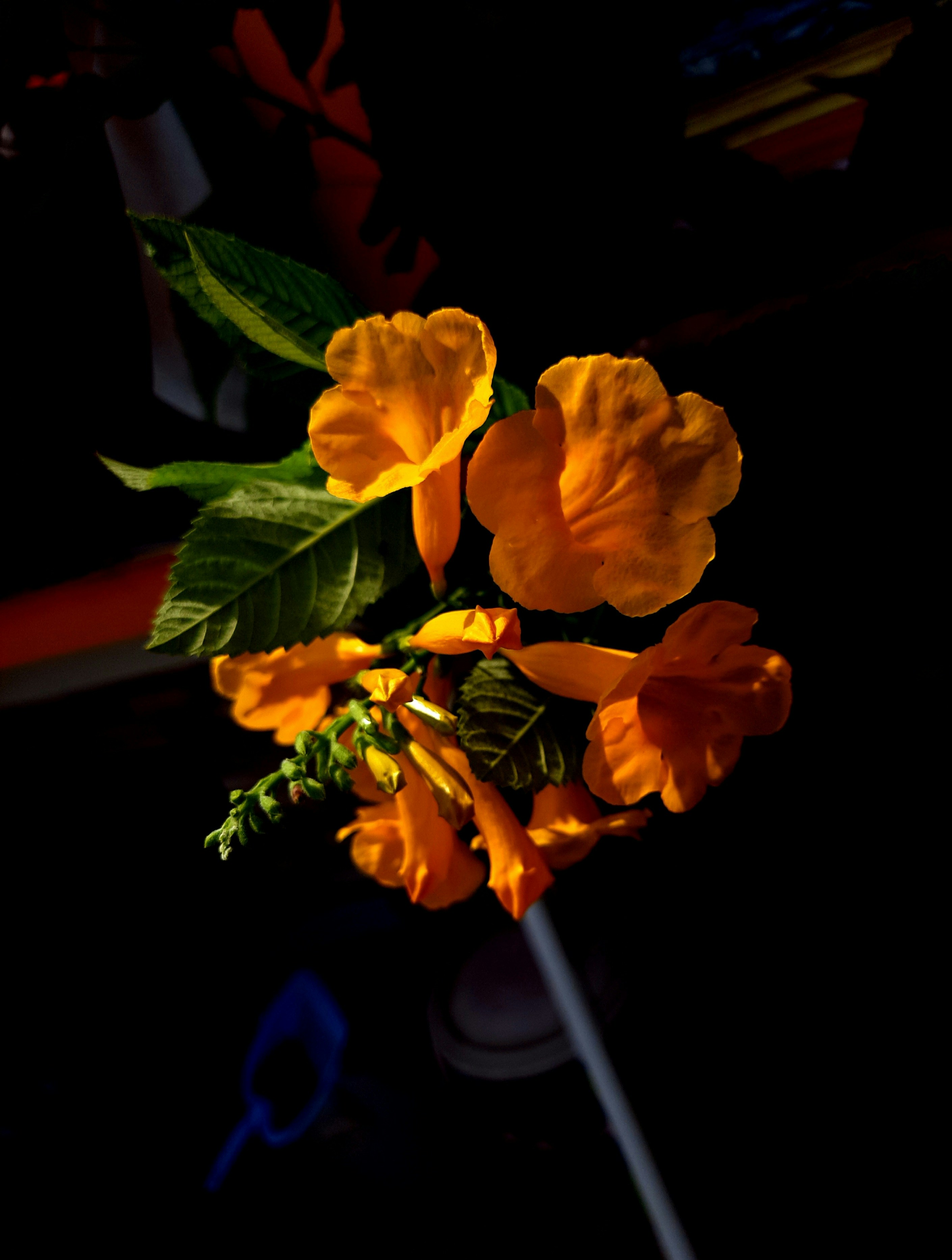 Photo by shutters_flutter