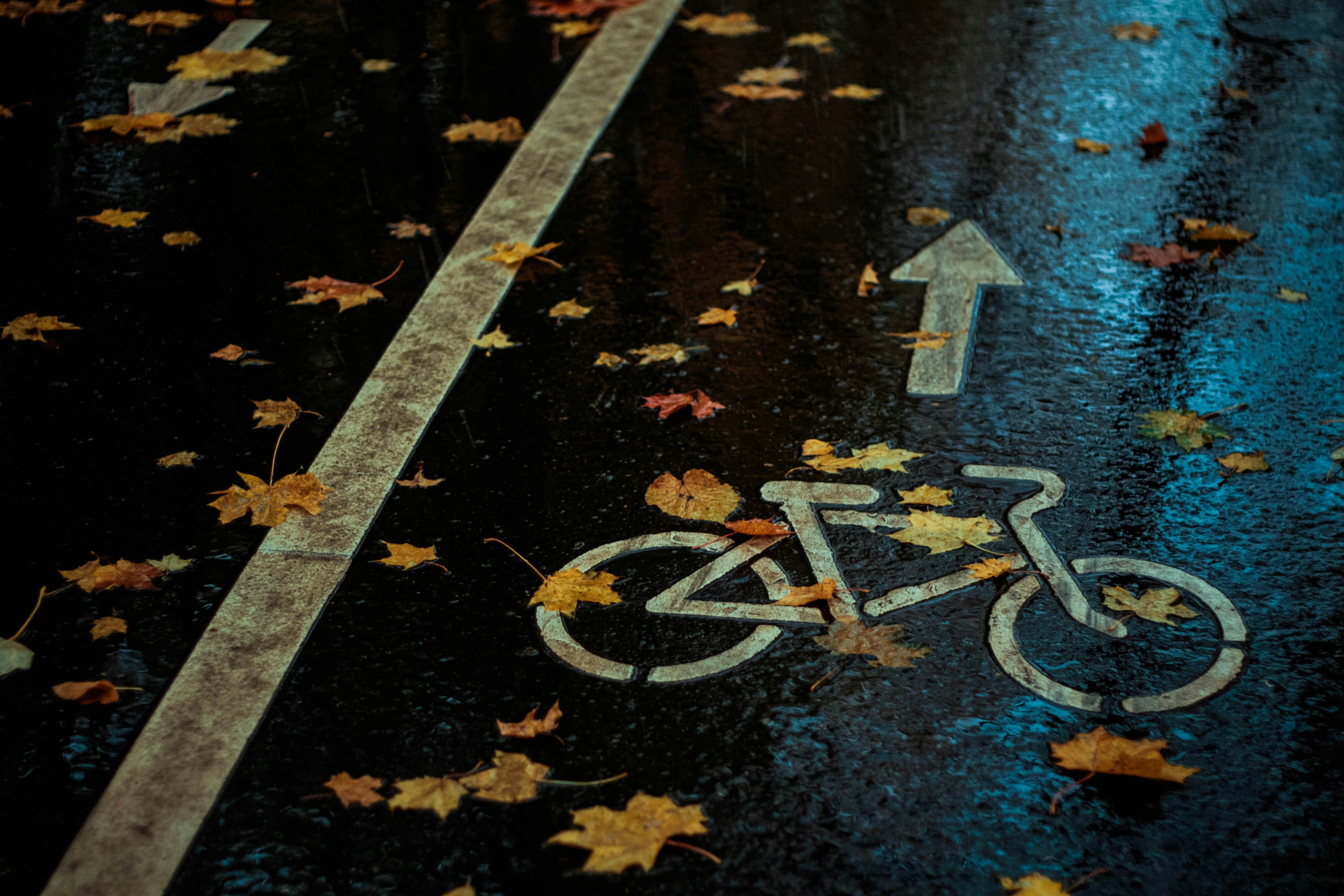 A Safer Ride Through Shem Creek