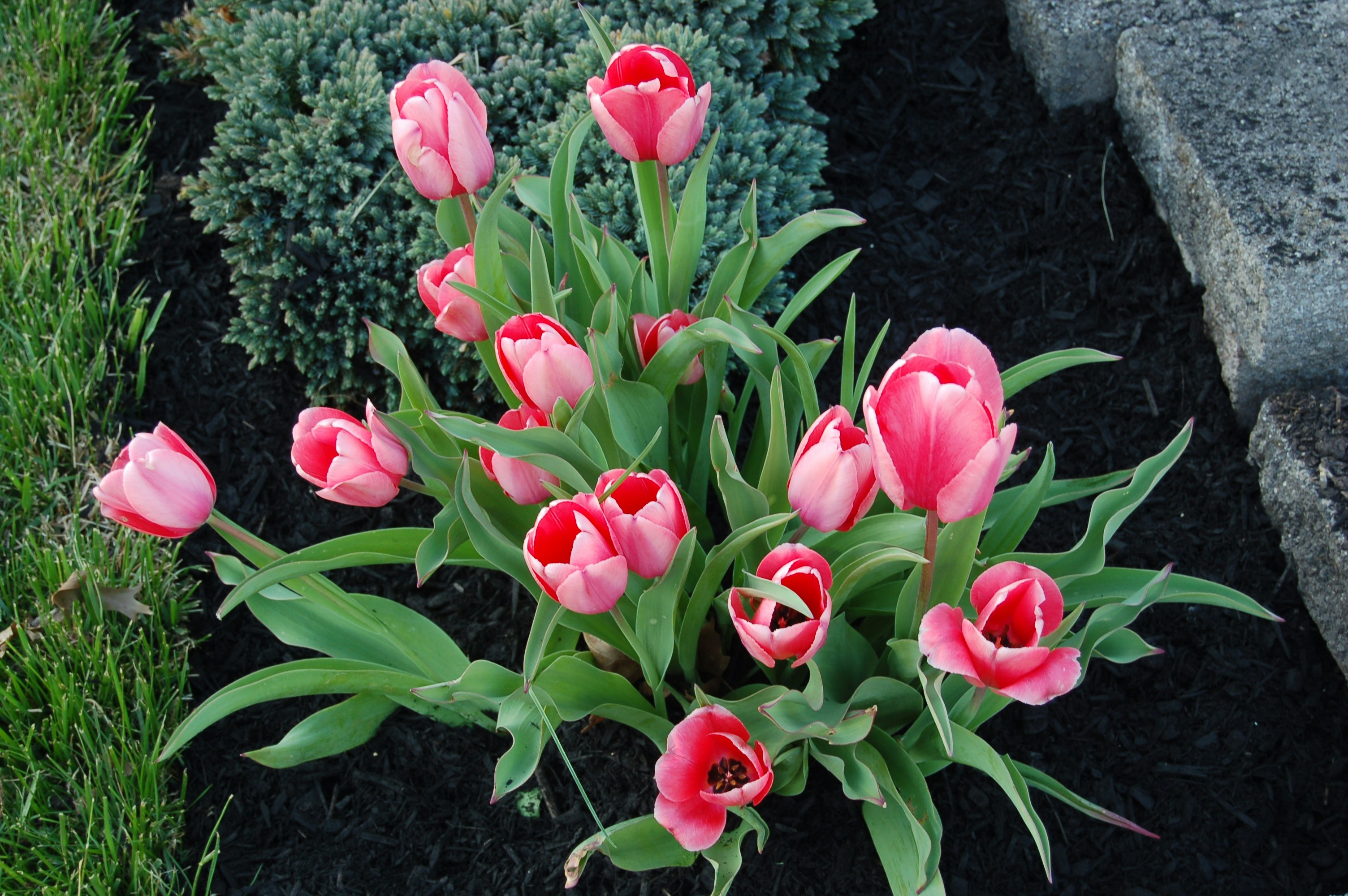 Photo by godsownfool