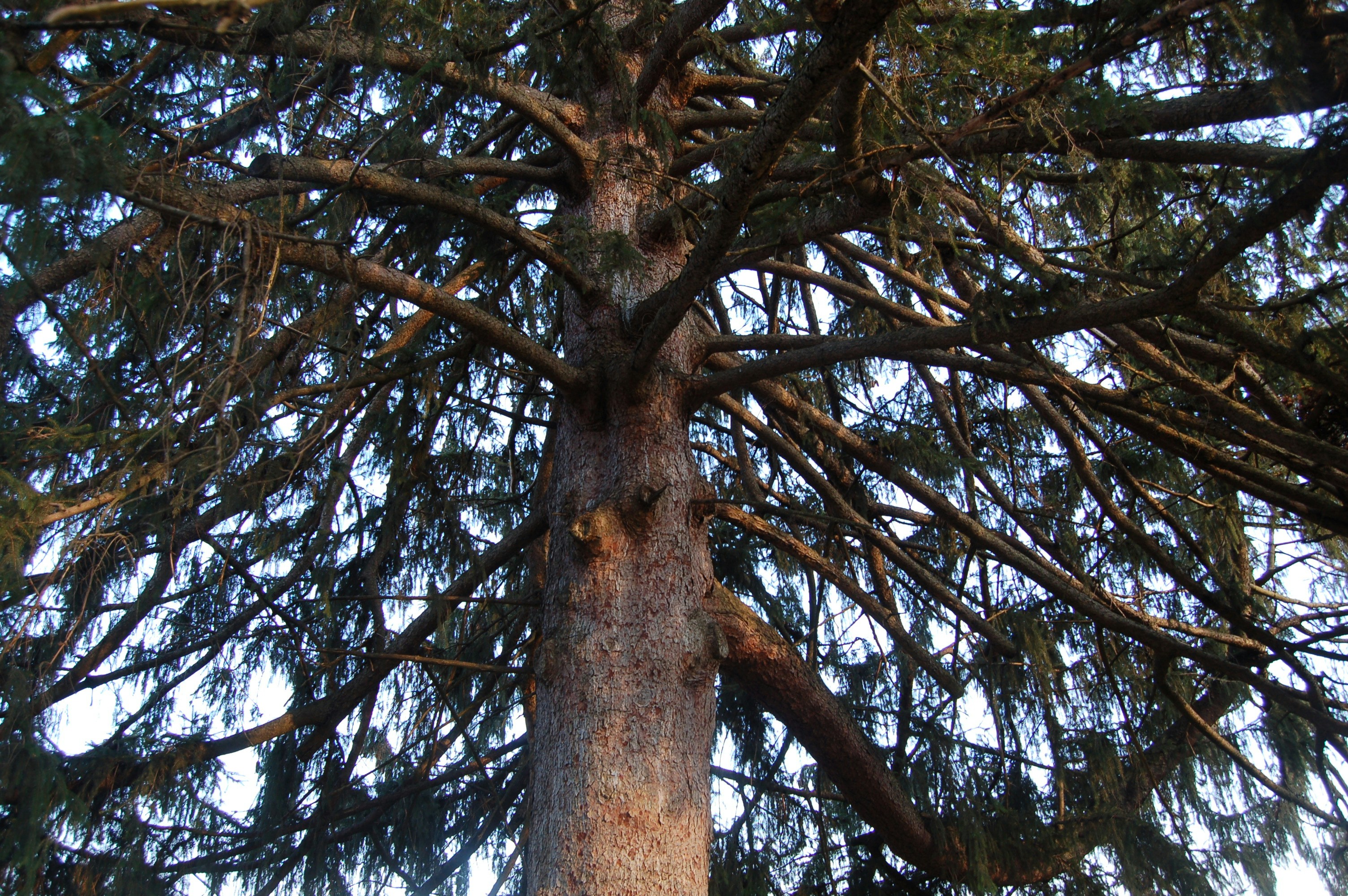 Photo by godsownfool