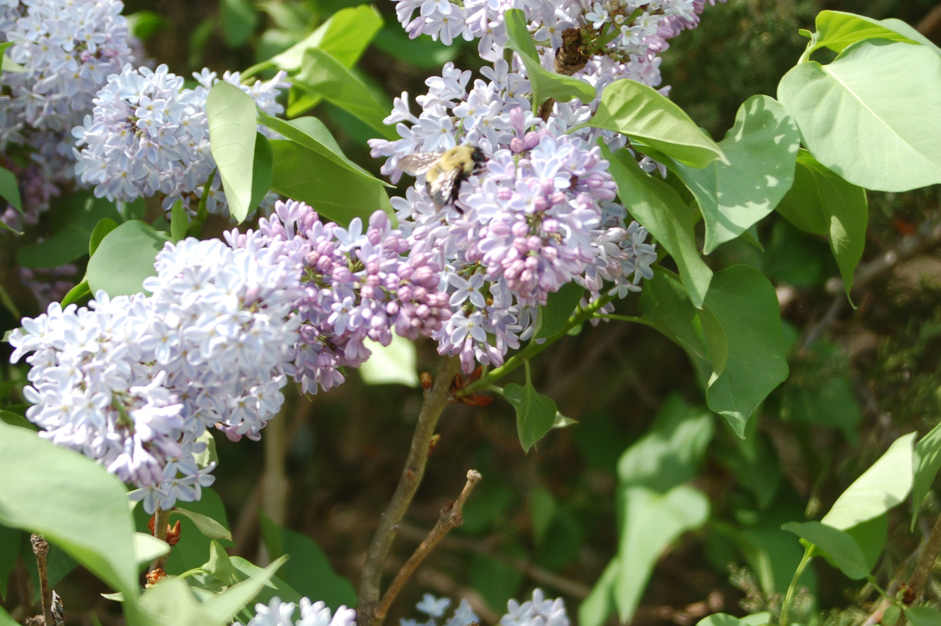 Photo by godsownfool