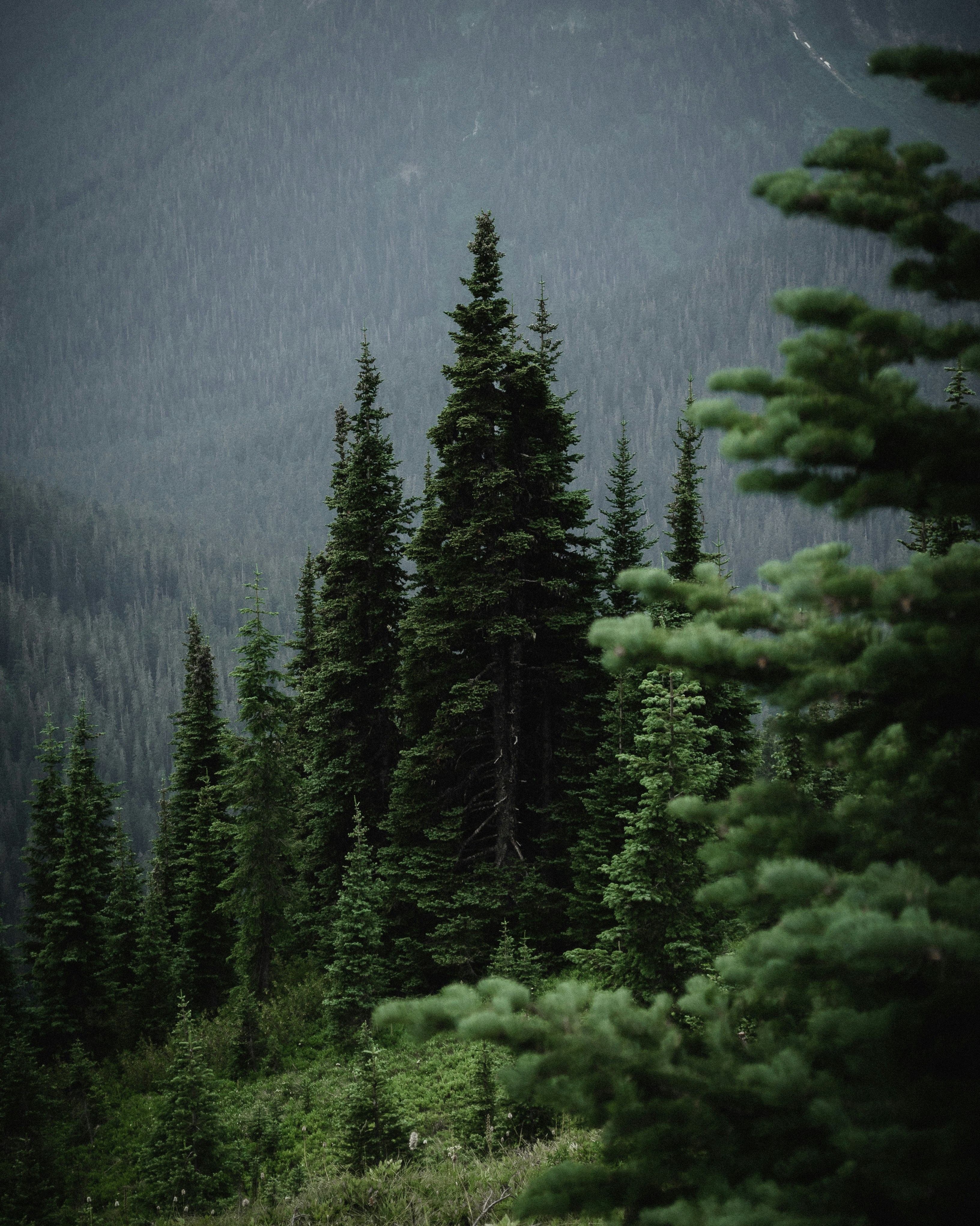 Photo by quinnaebiphoto