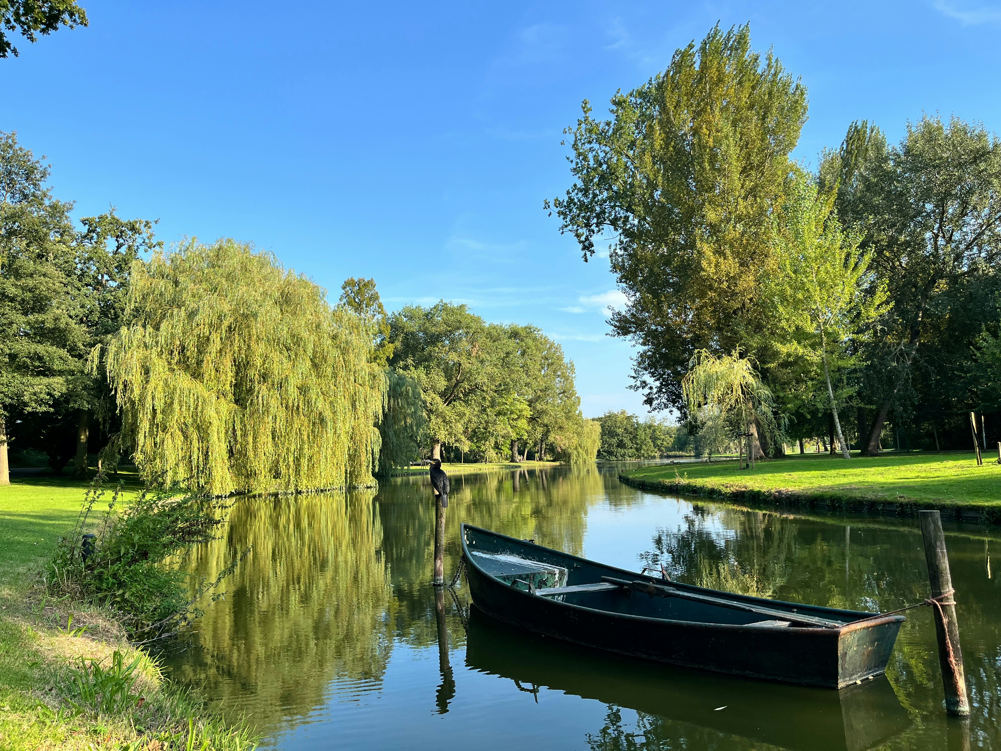 A boat floating on top of a river next to a lush green park