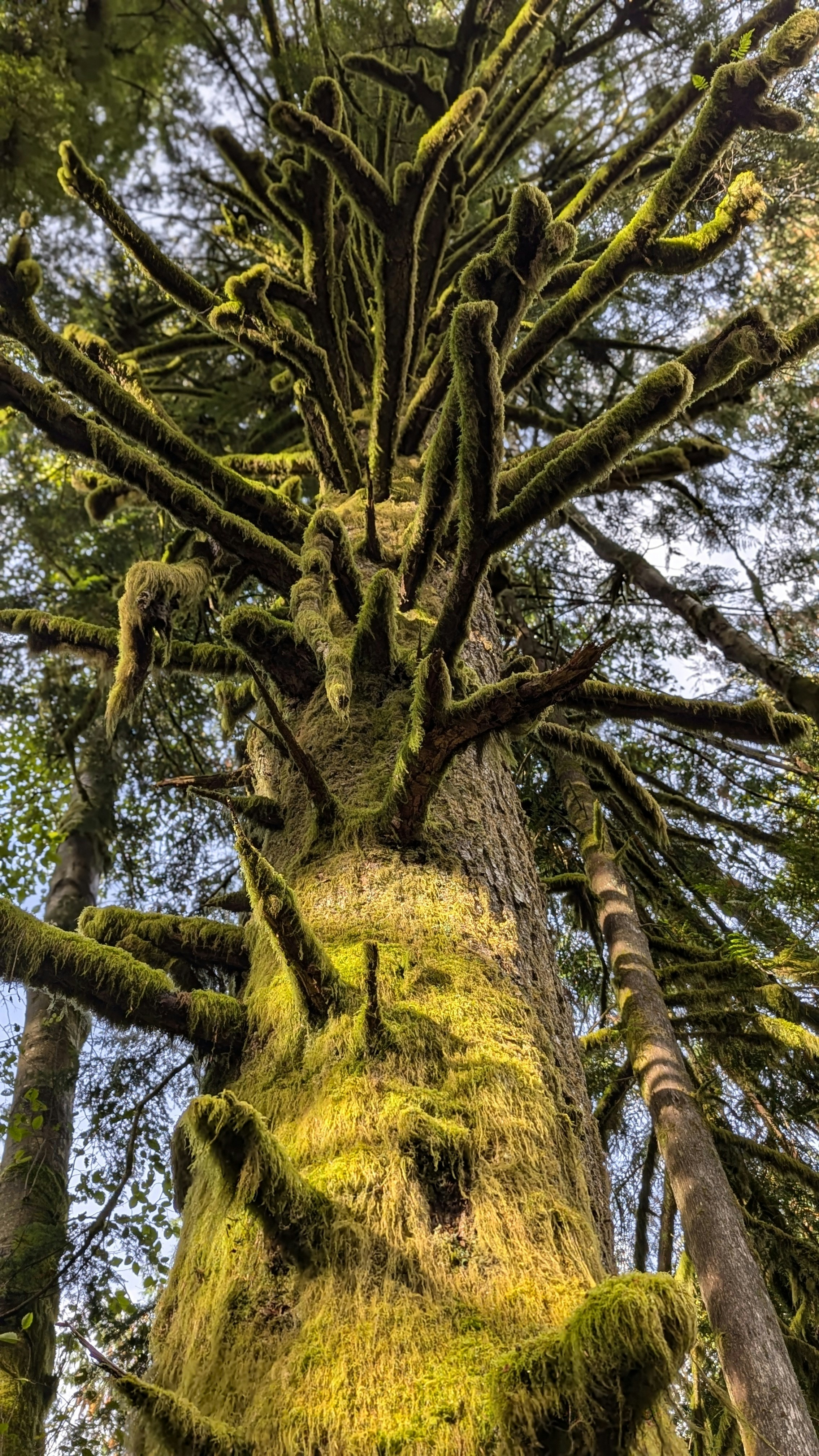 Photo by atharvapatil