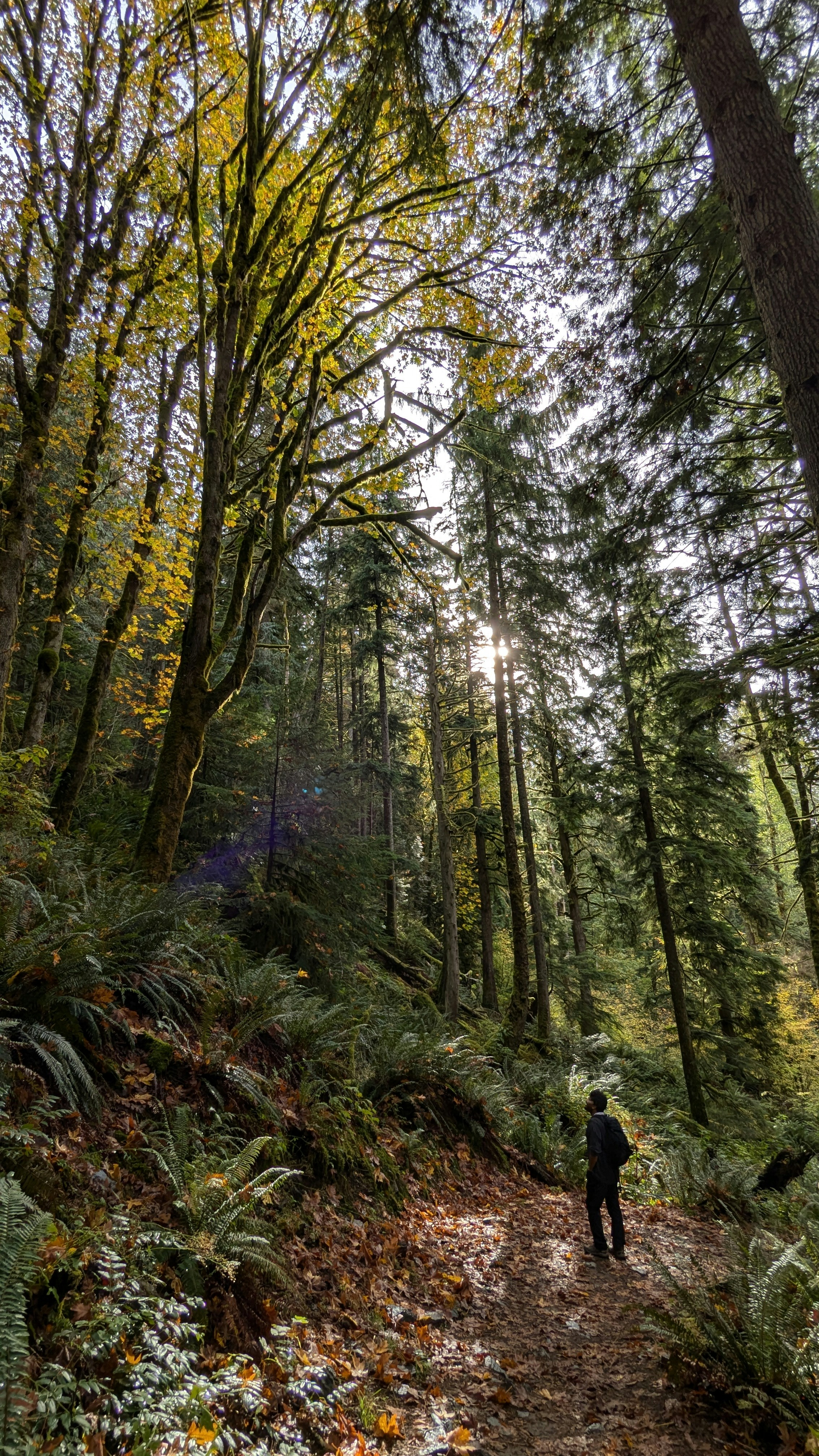 Photo by atharvapatil