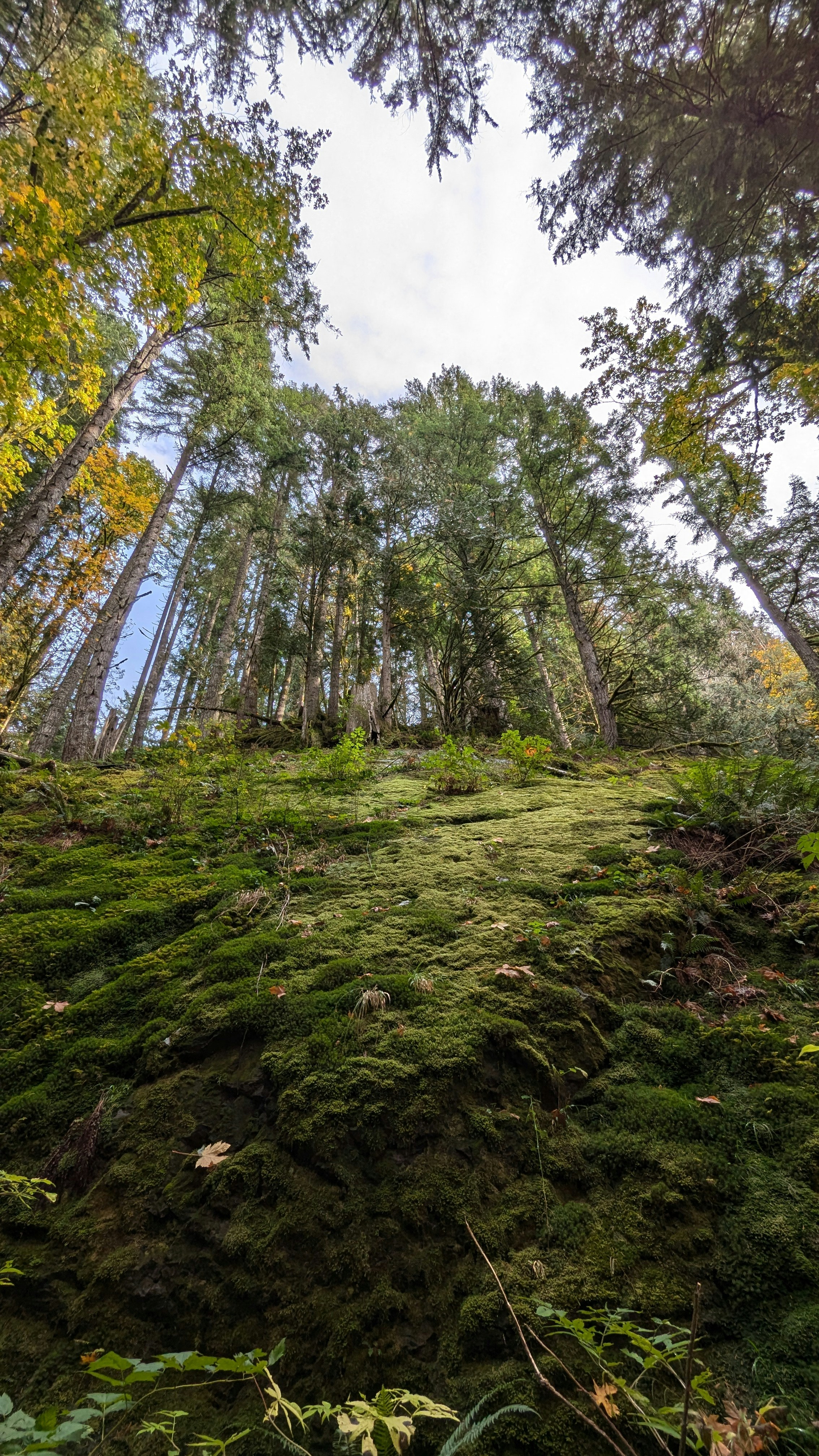 Photo by atharvapatil