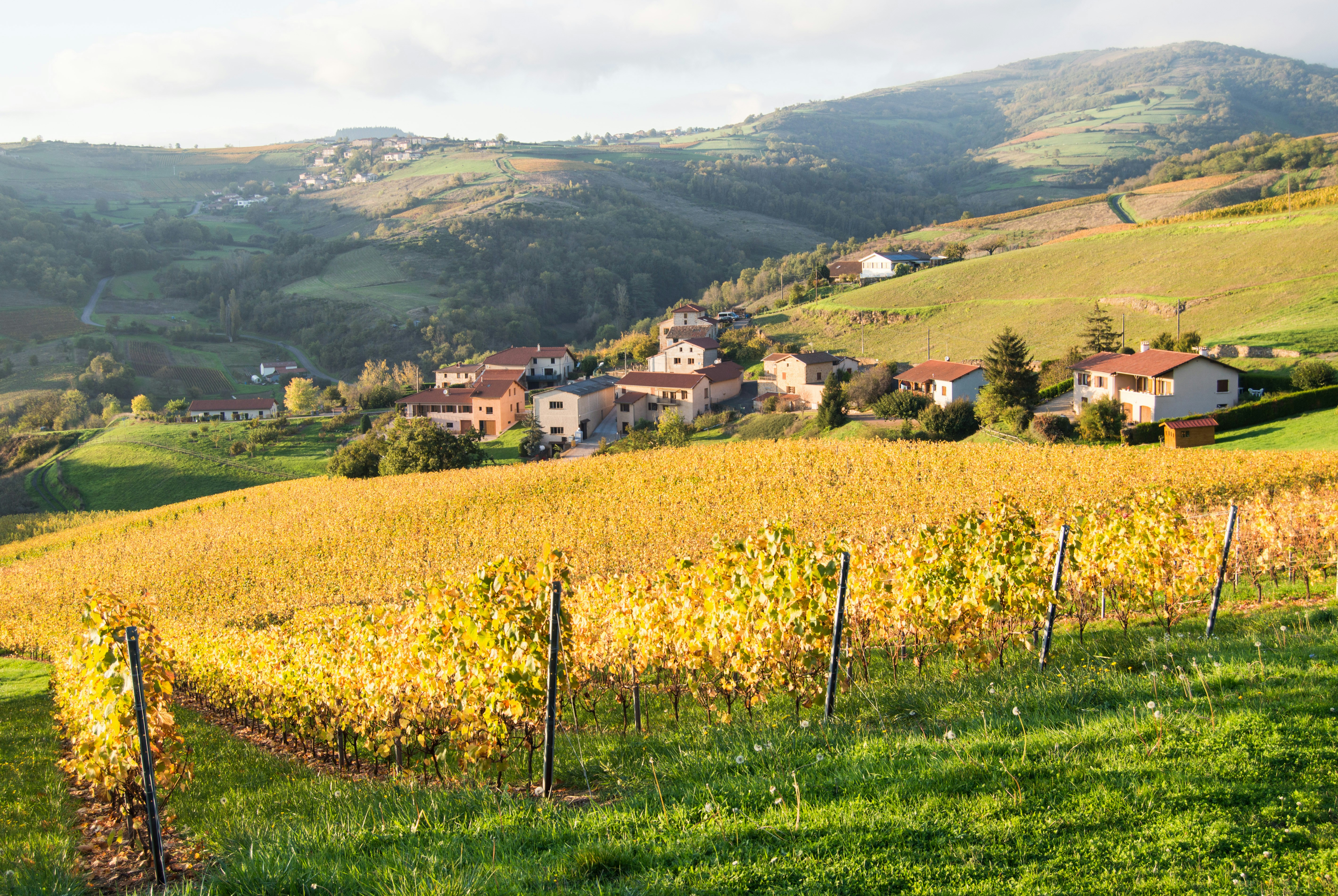 Photo by lucasgallone