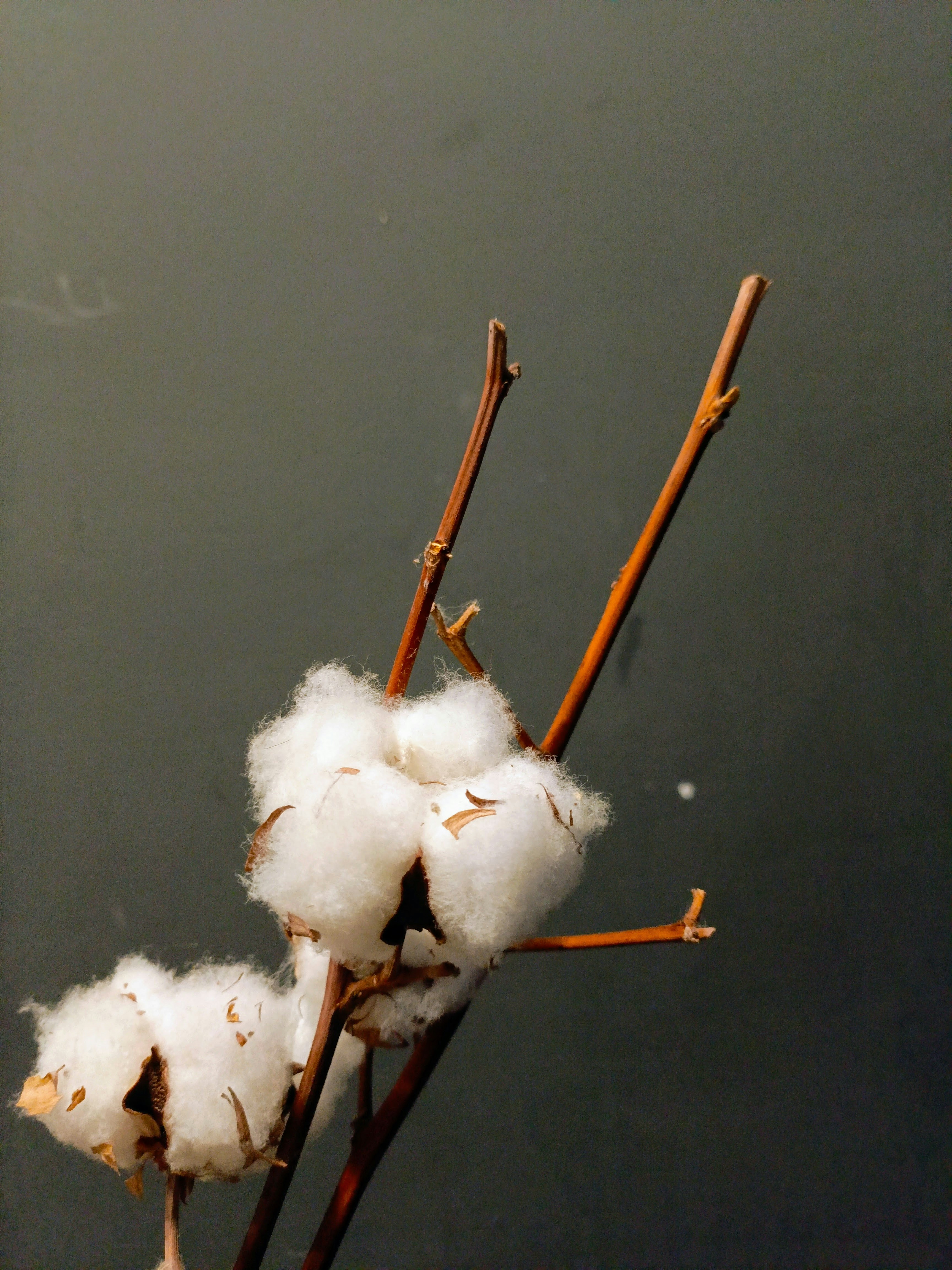 abstract cotton swab, wallpaper, Q-Tip Crafts for Adults: Creative & Relaxing Ideas 1