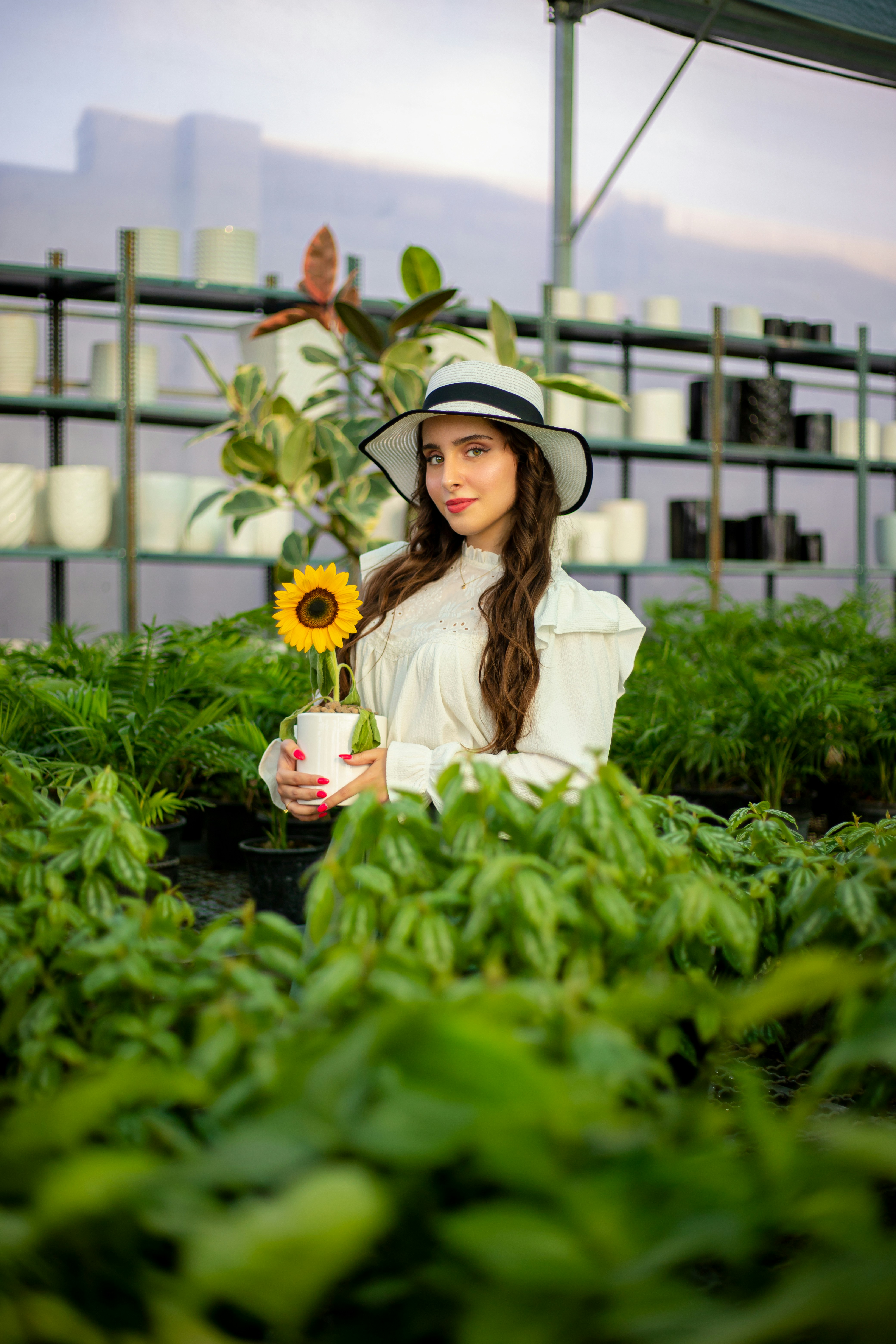 Photo by amirabbaspoor