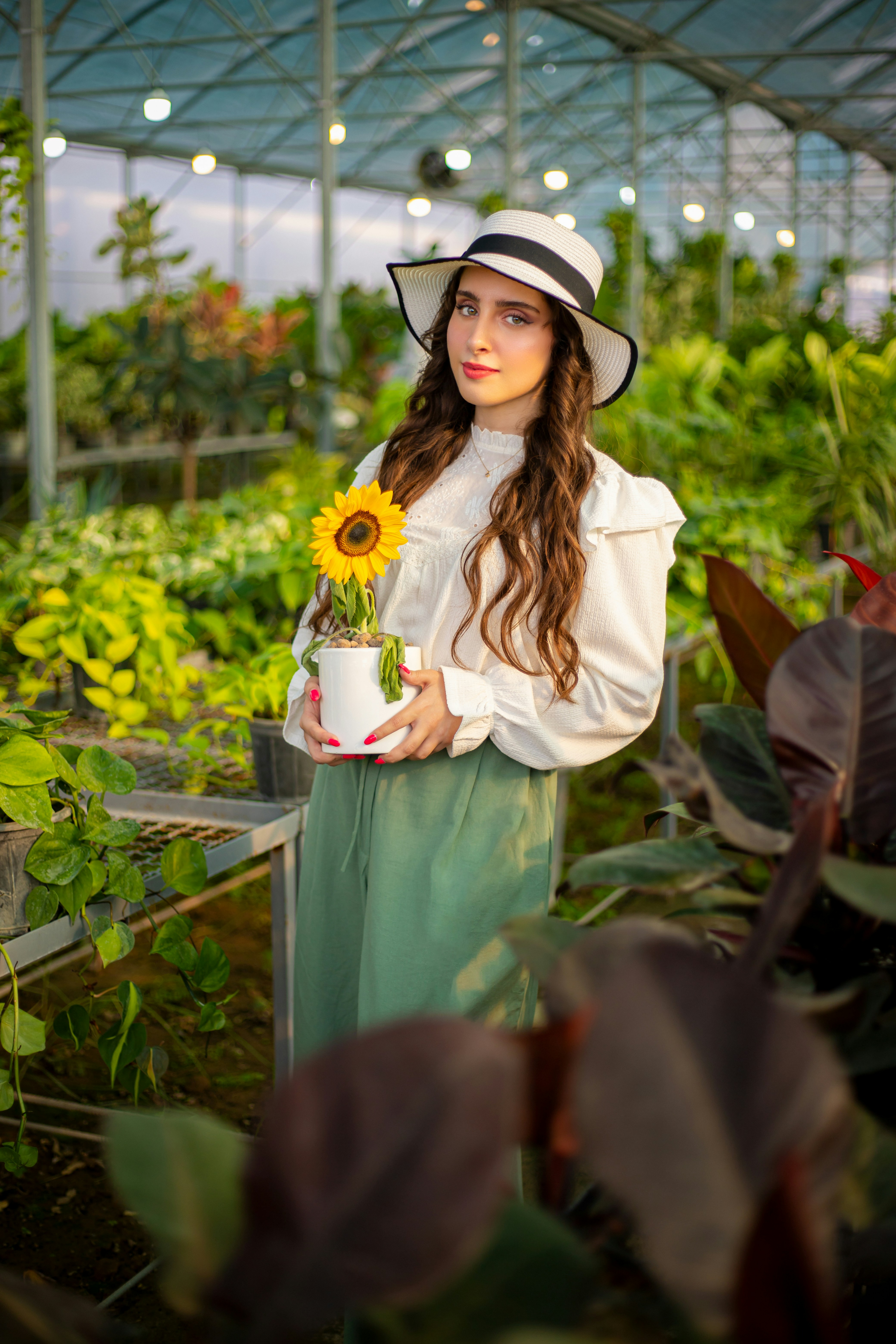 Photo by amirabbaspoor