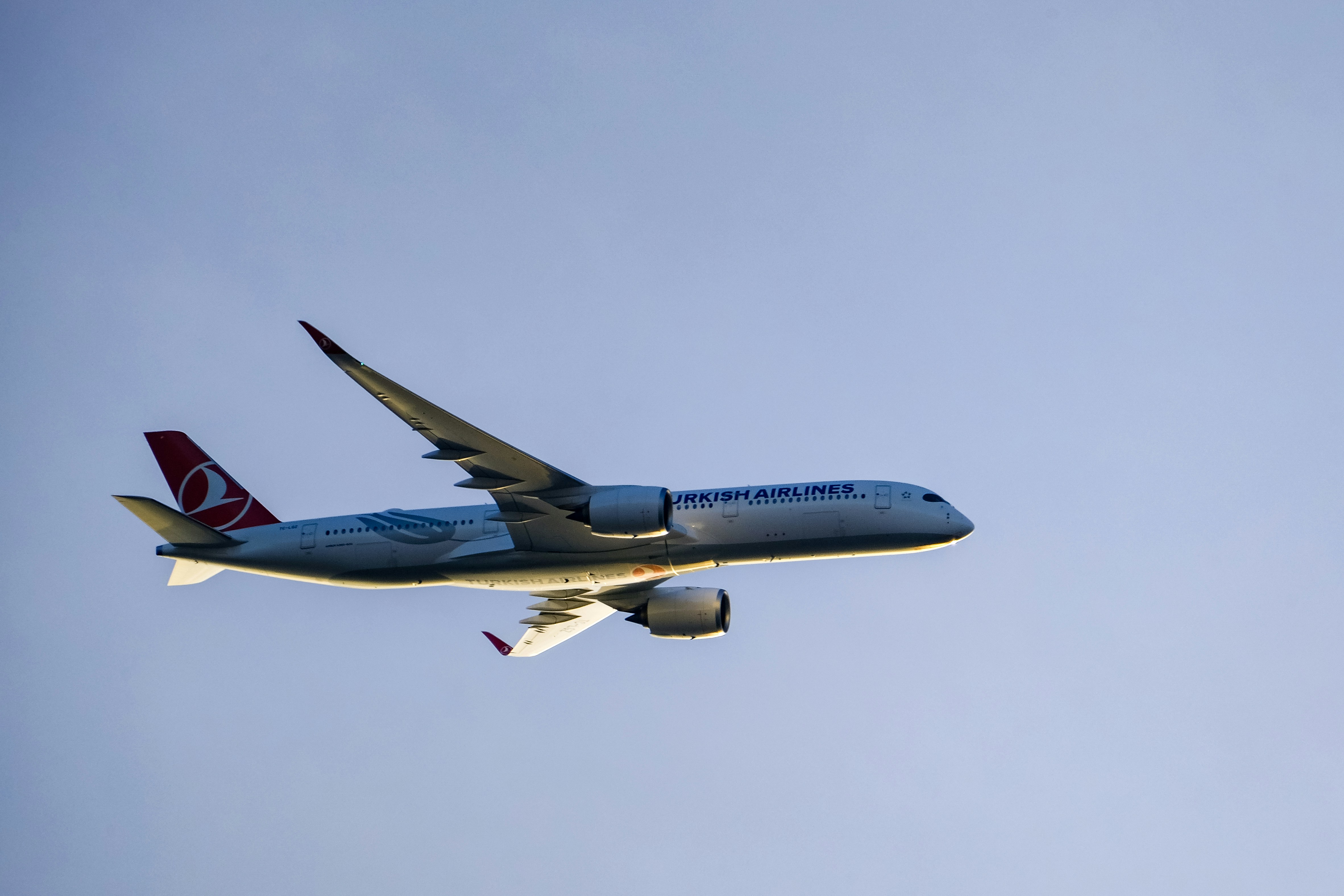 Photo by irfansimsar