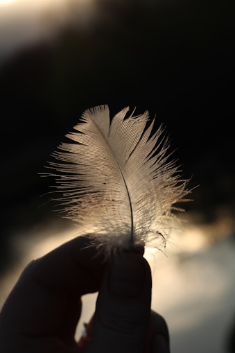 A person holding a feather in their hand
