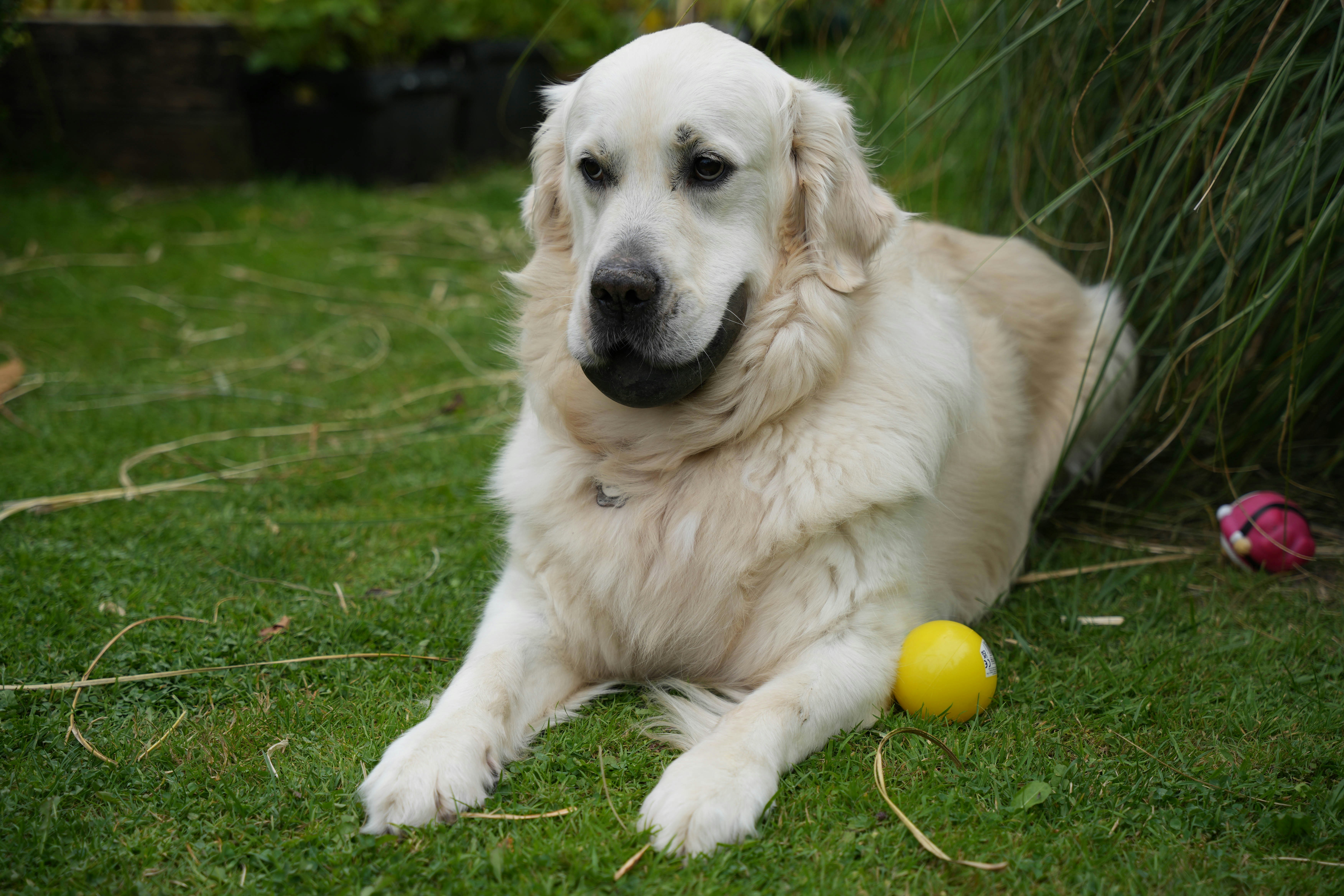 Photo by paskeviciute