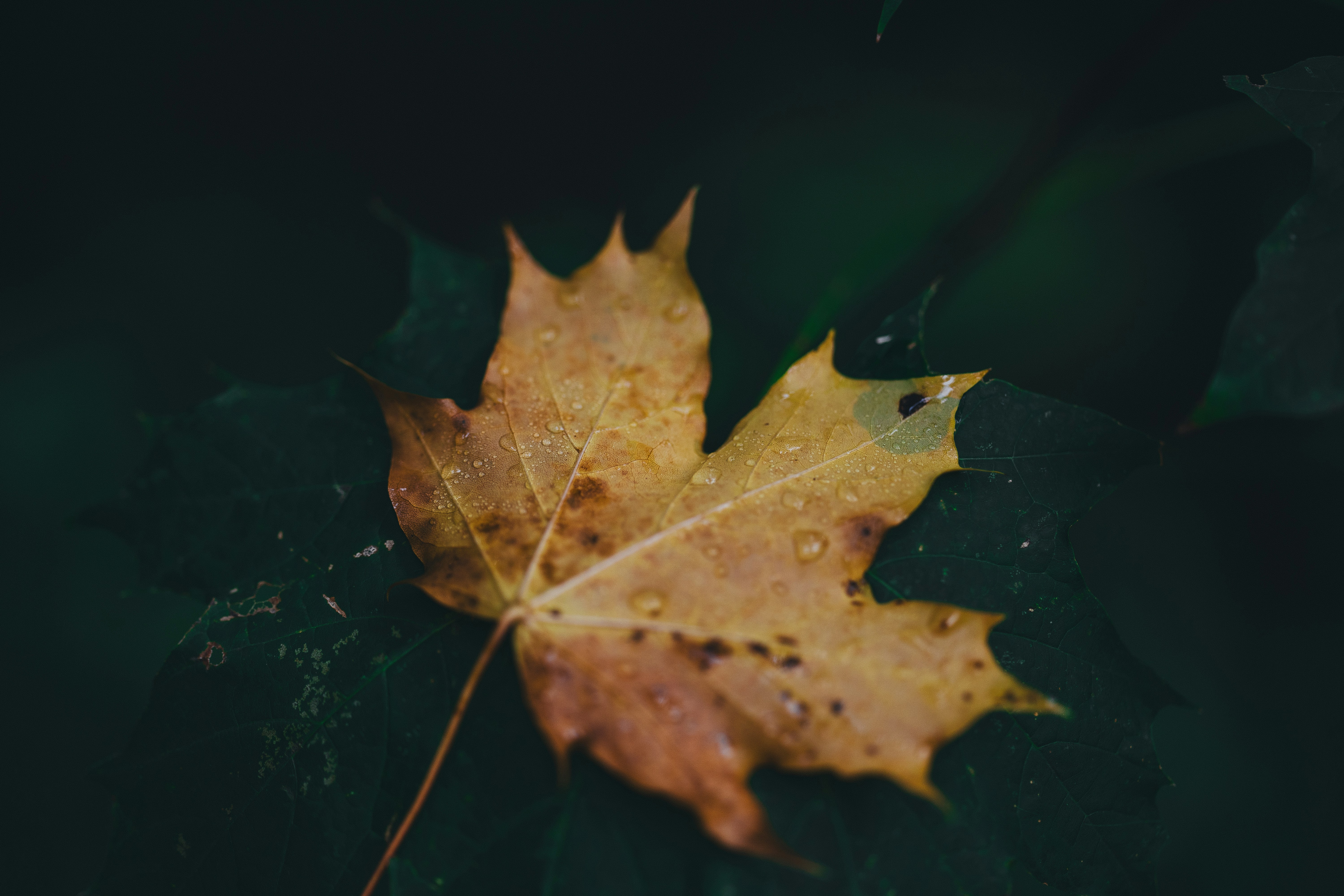 Photo by omarvellous14