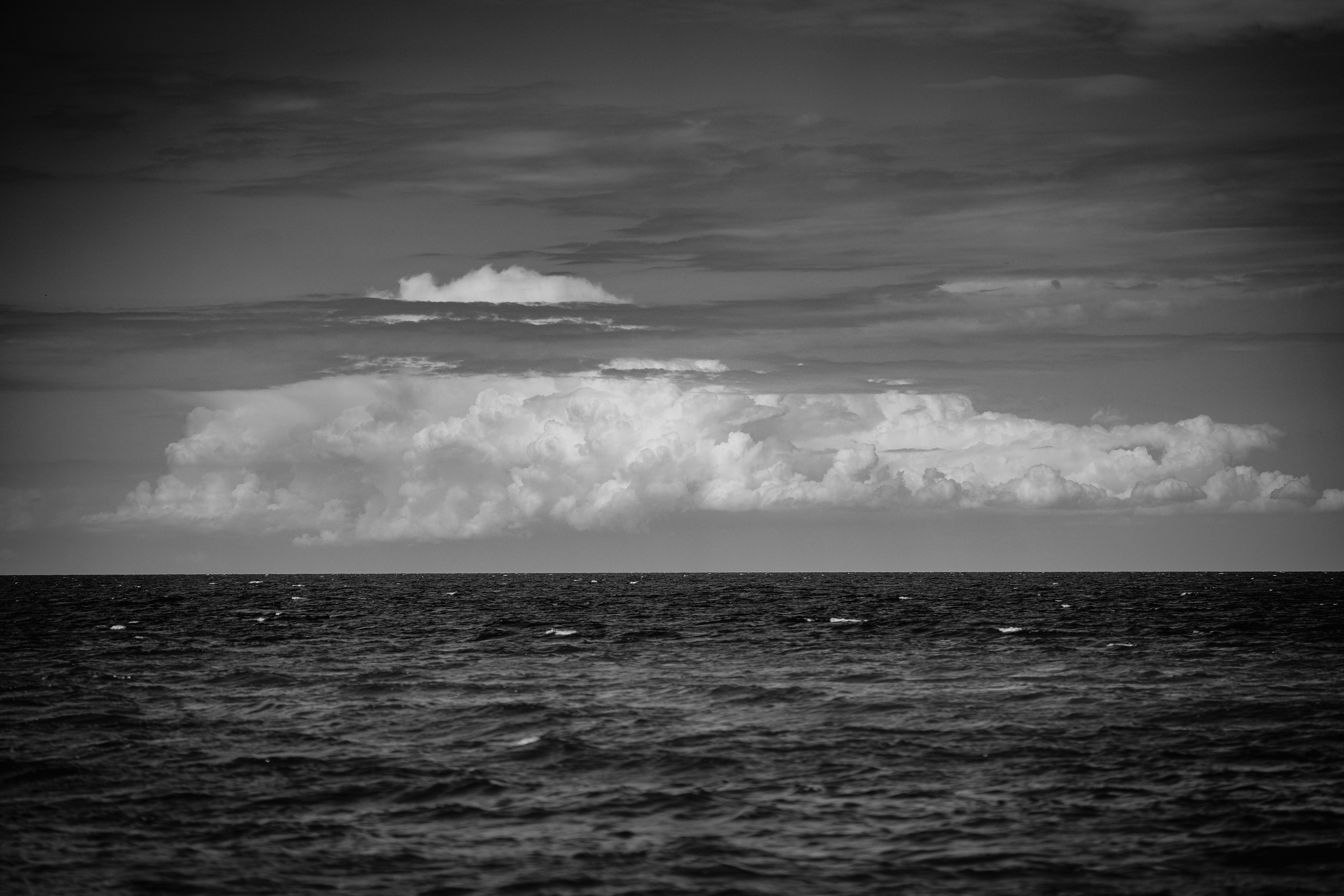 Photo by omarvellous14