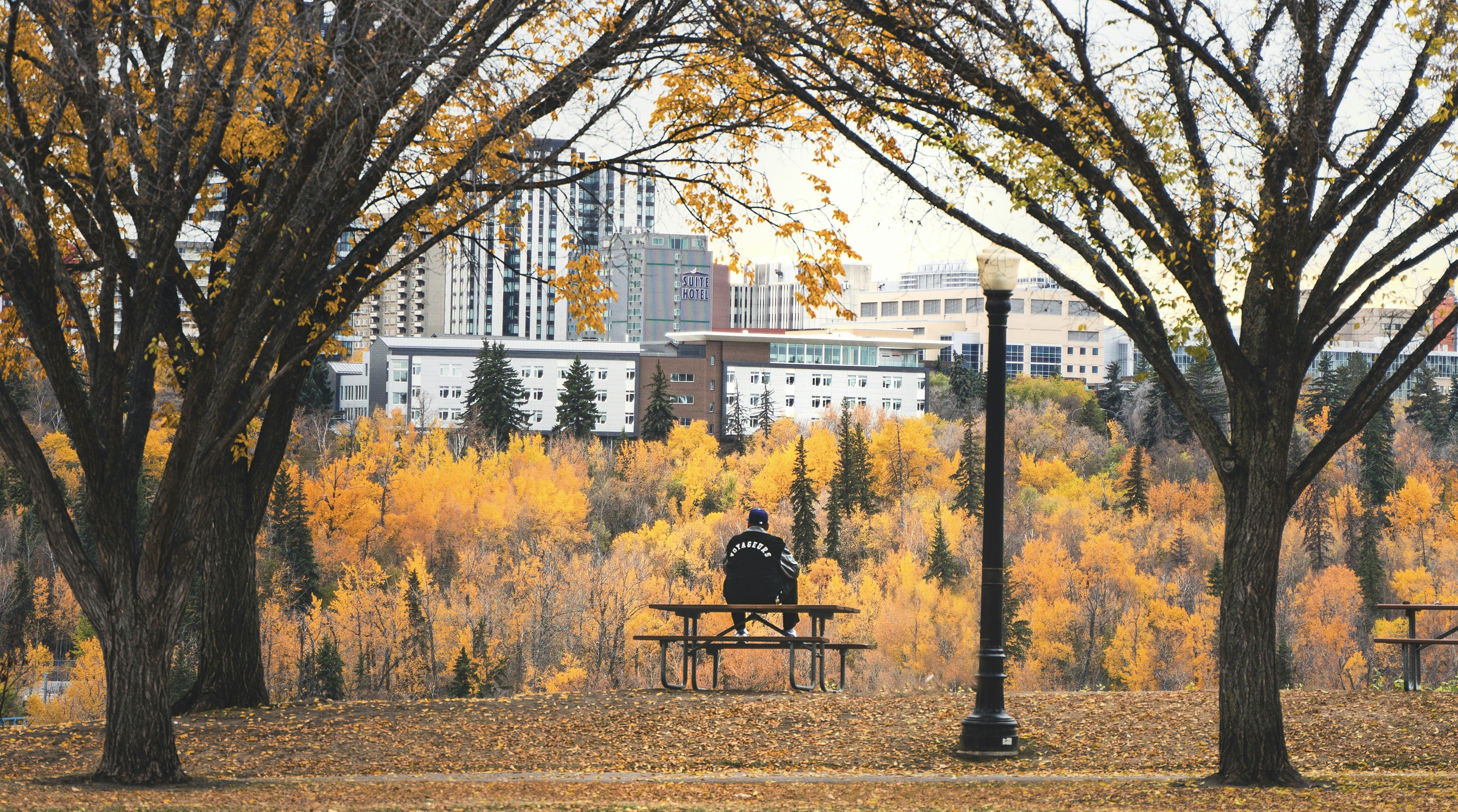 A man sitting at a picnic table in a park