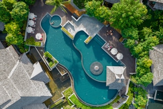 An aerial view of a pool surrounded by trees