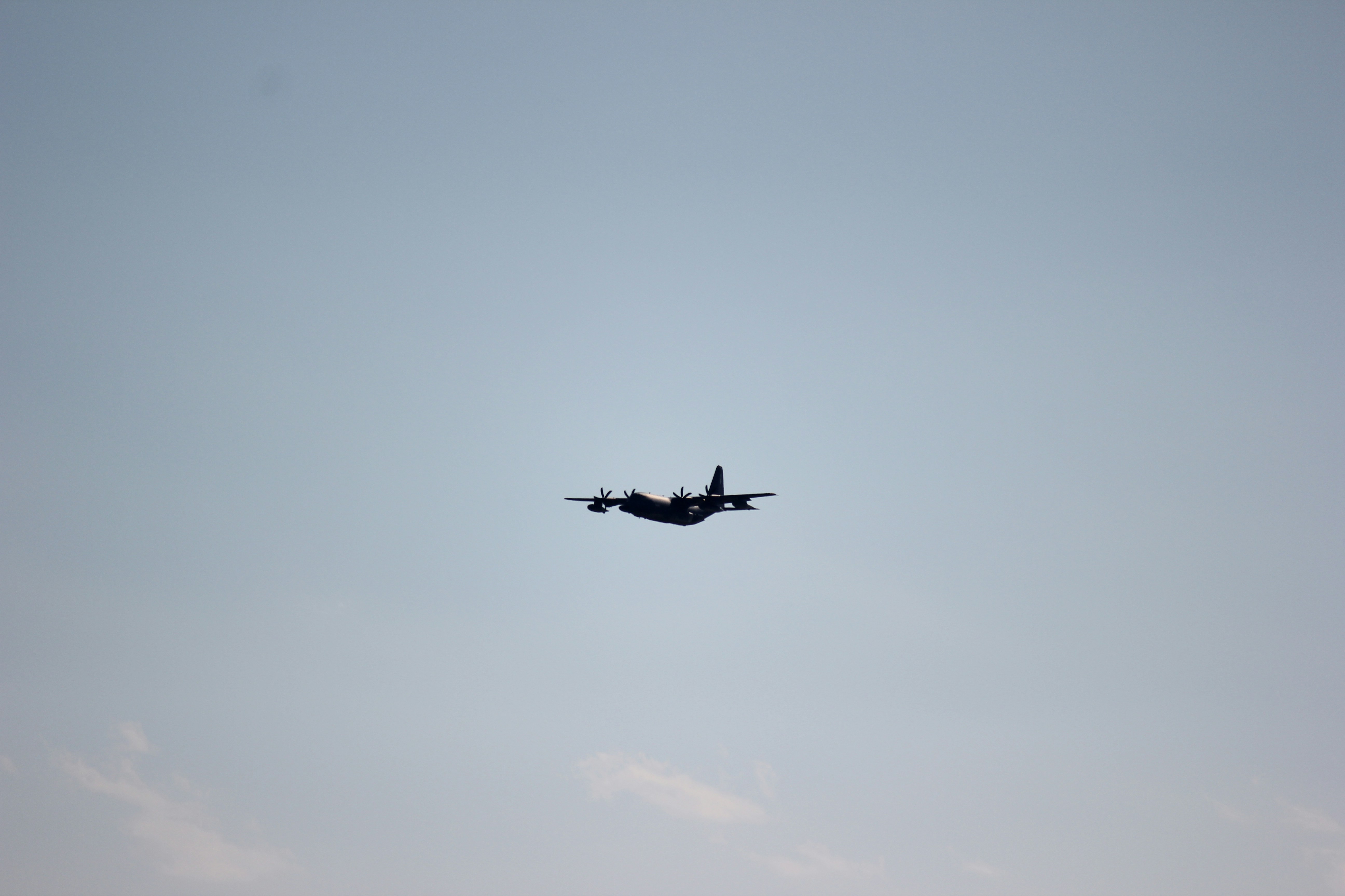 Photo by frolicsomefairy