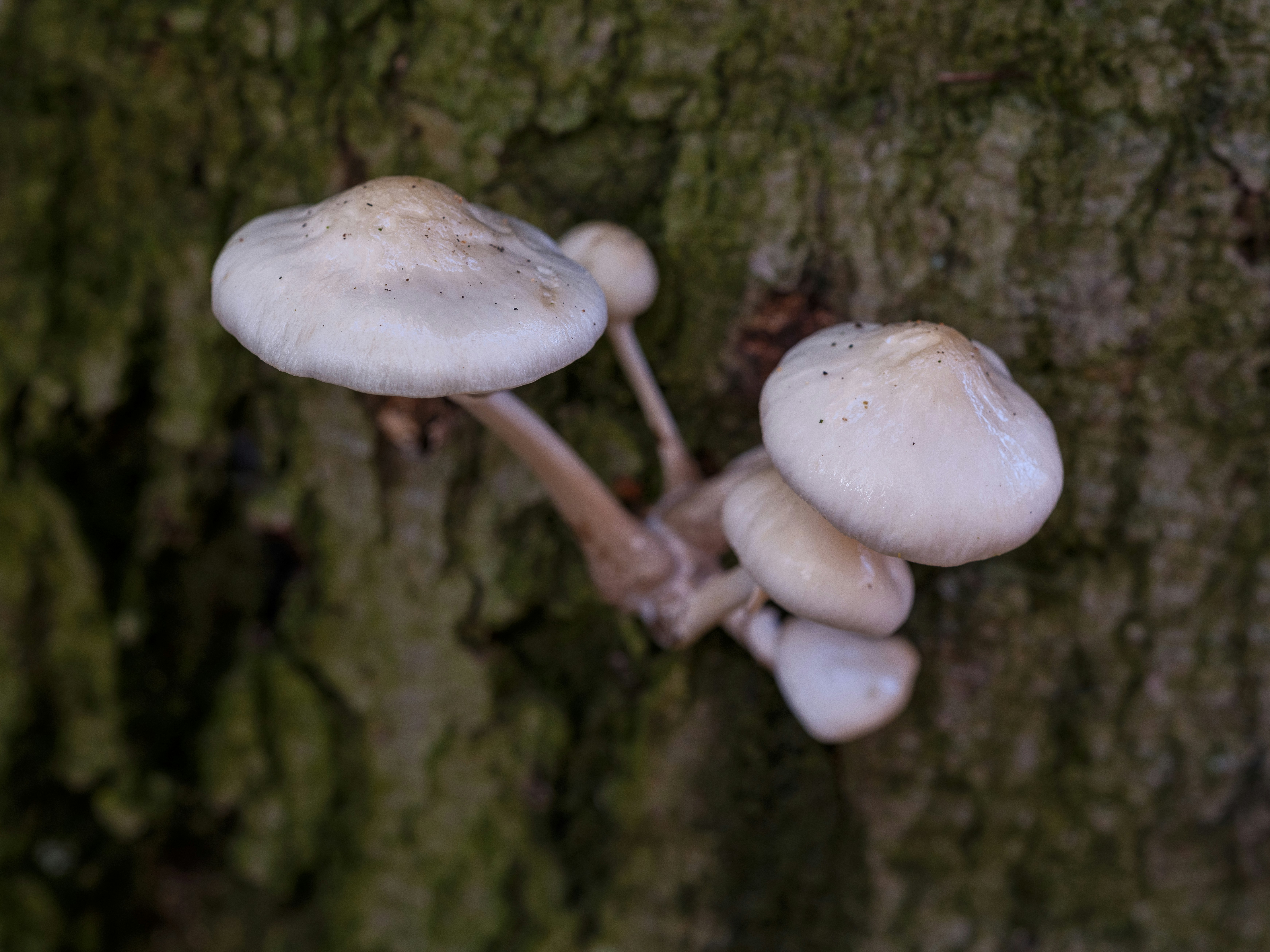 Photo by haberdoedas